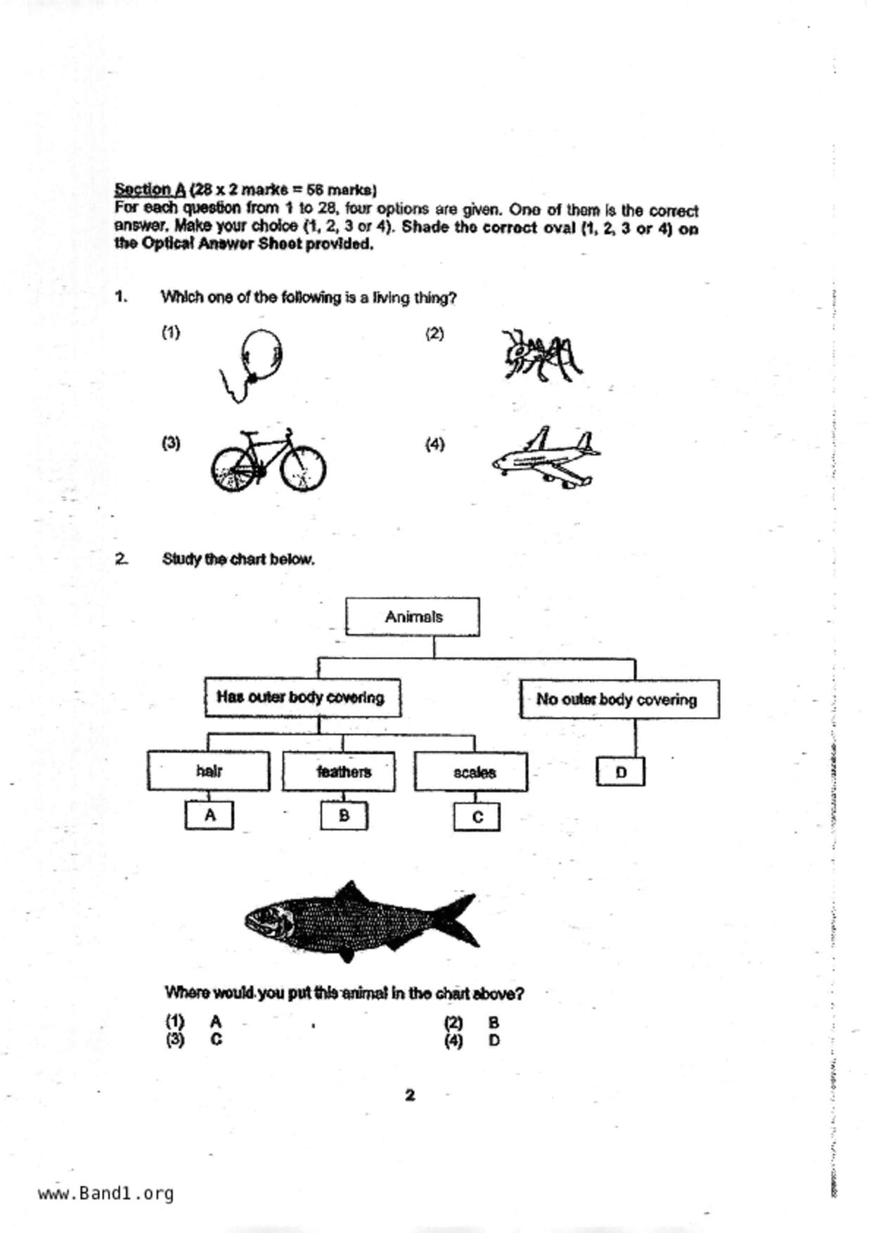 P4Science試卷