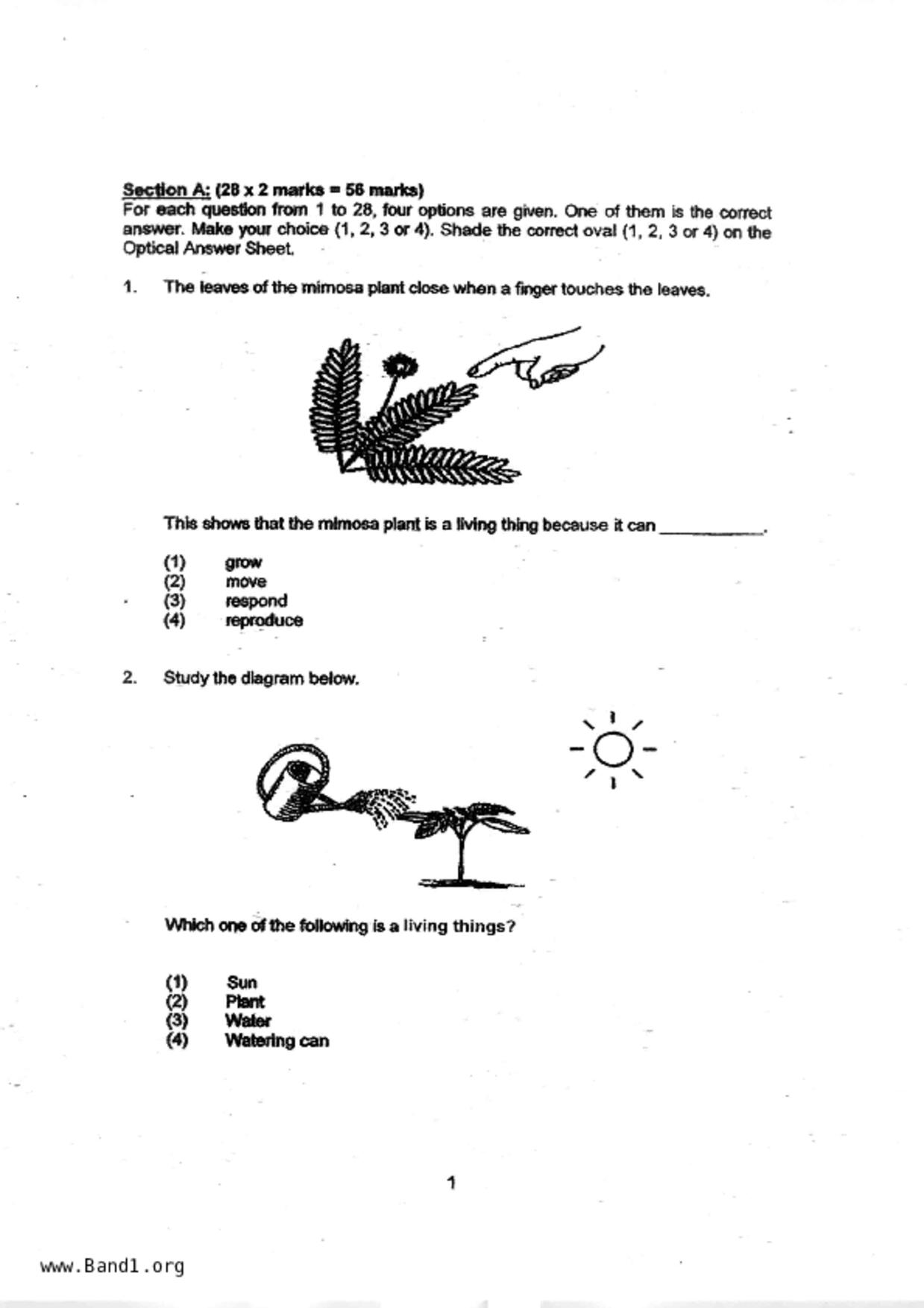 P4Science試卷