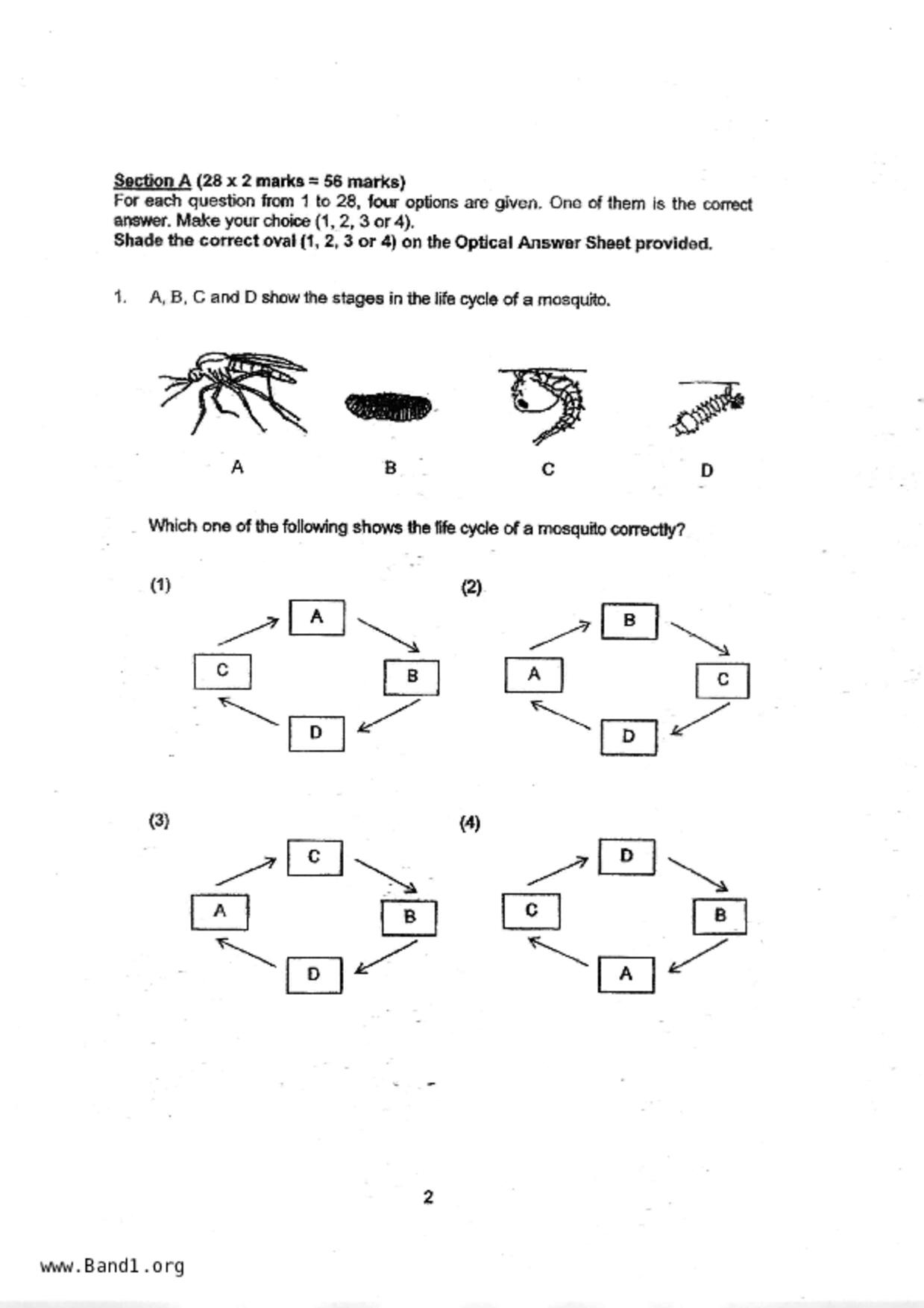 P4Science試卷