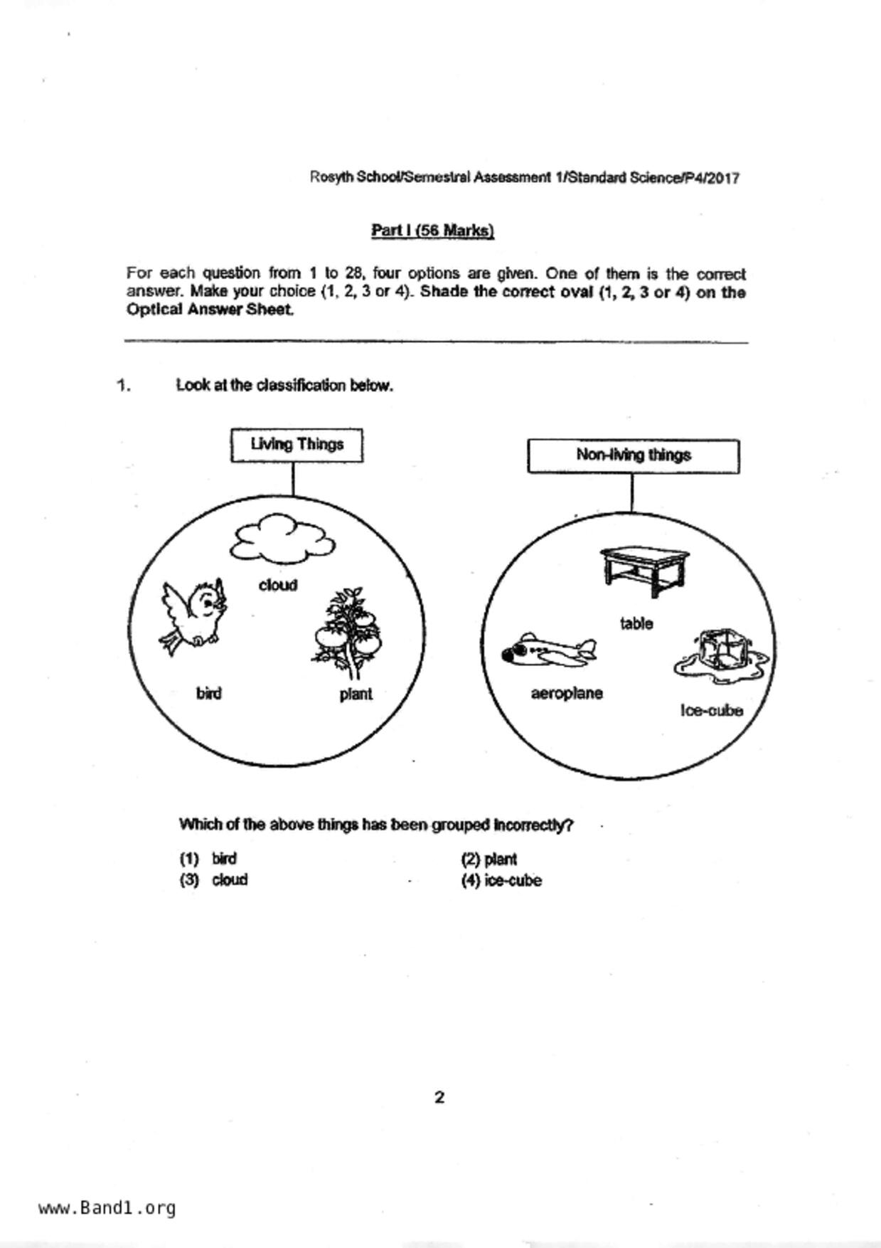 P4Science試卷