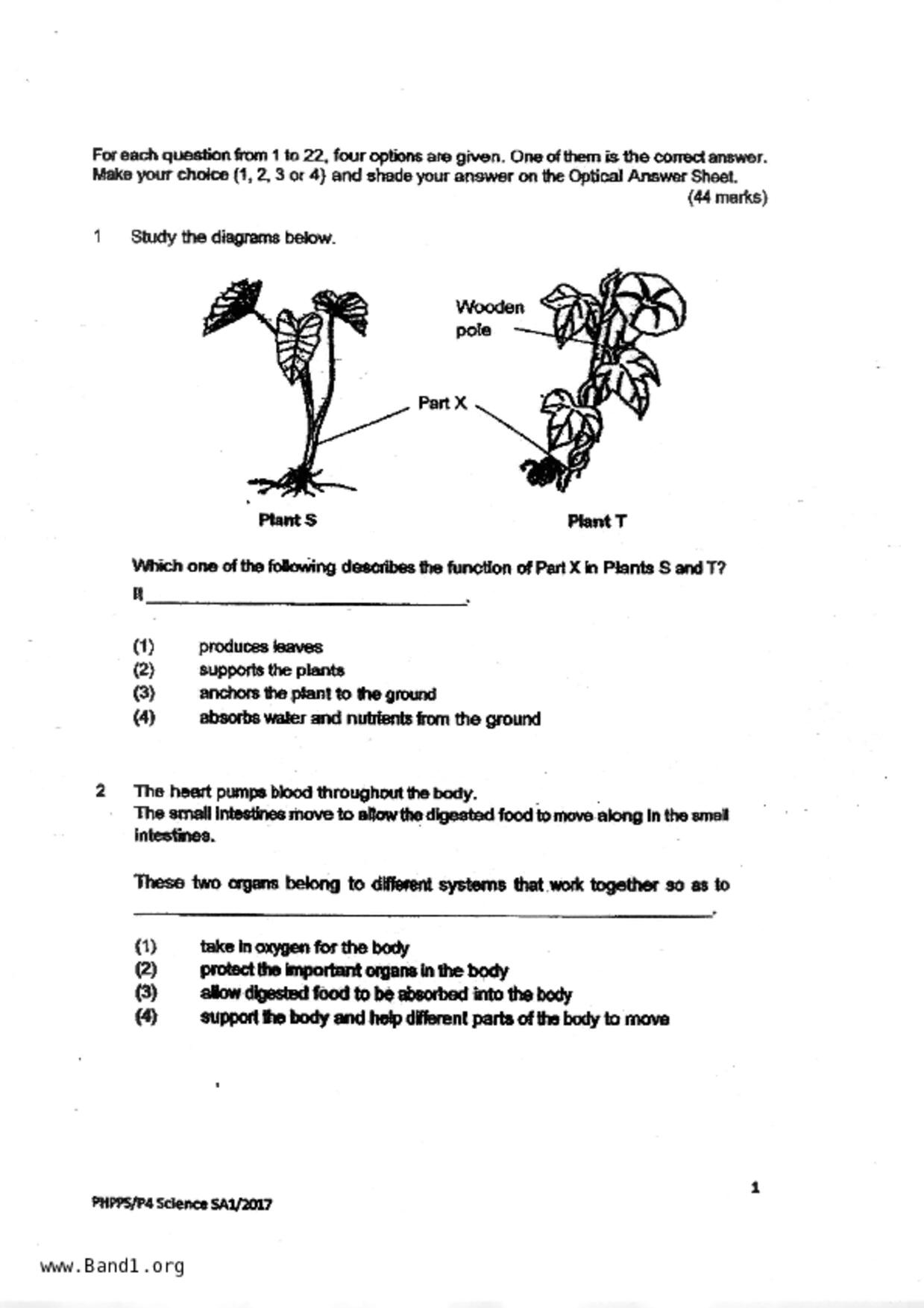 P4Science試卷