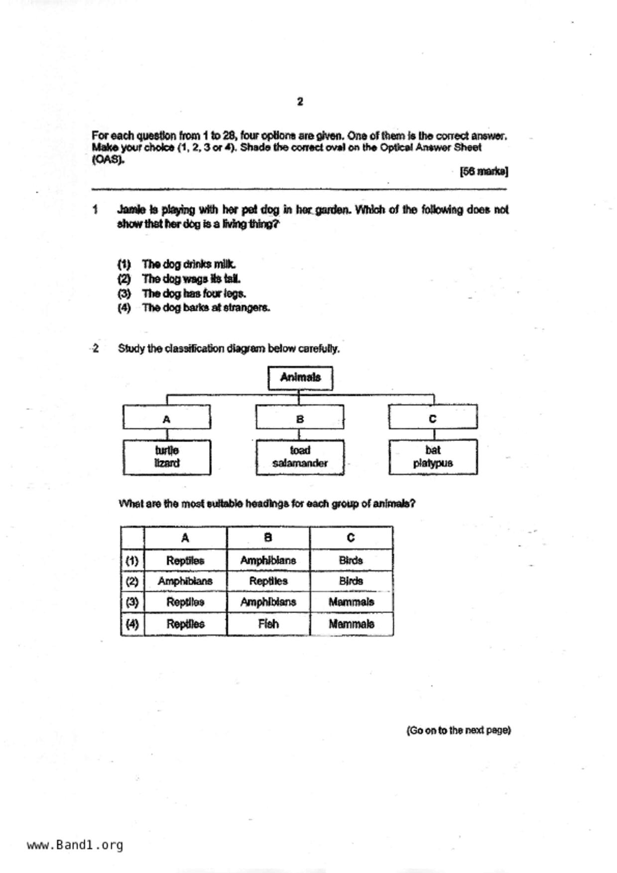 P4Science試卷