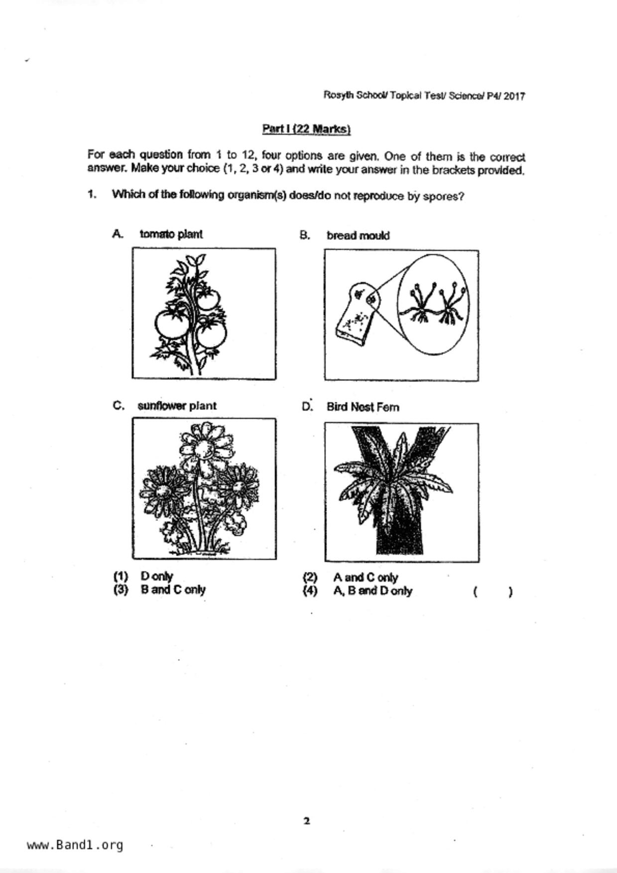 P4Science試卷