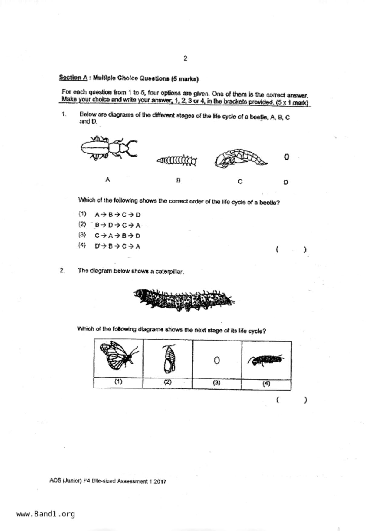 P4Science試卷