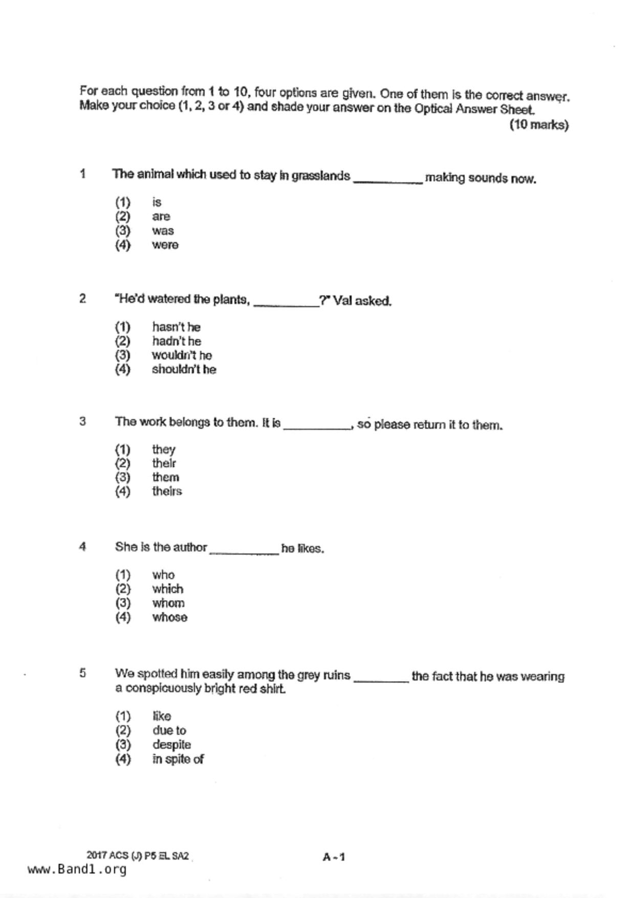 P5English試卷