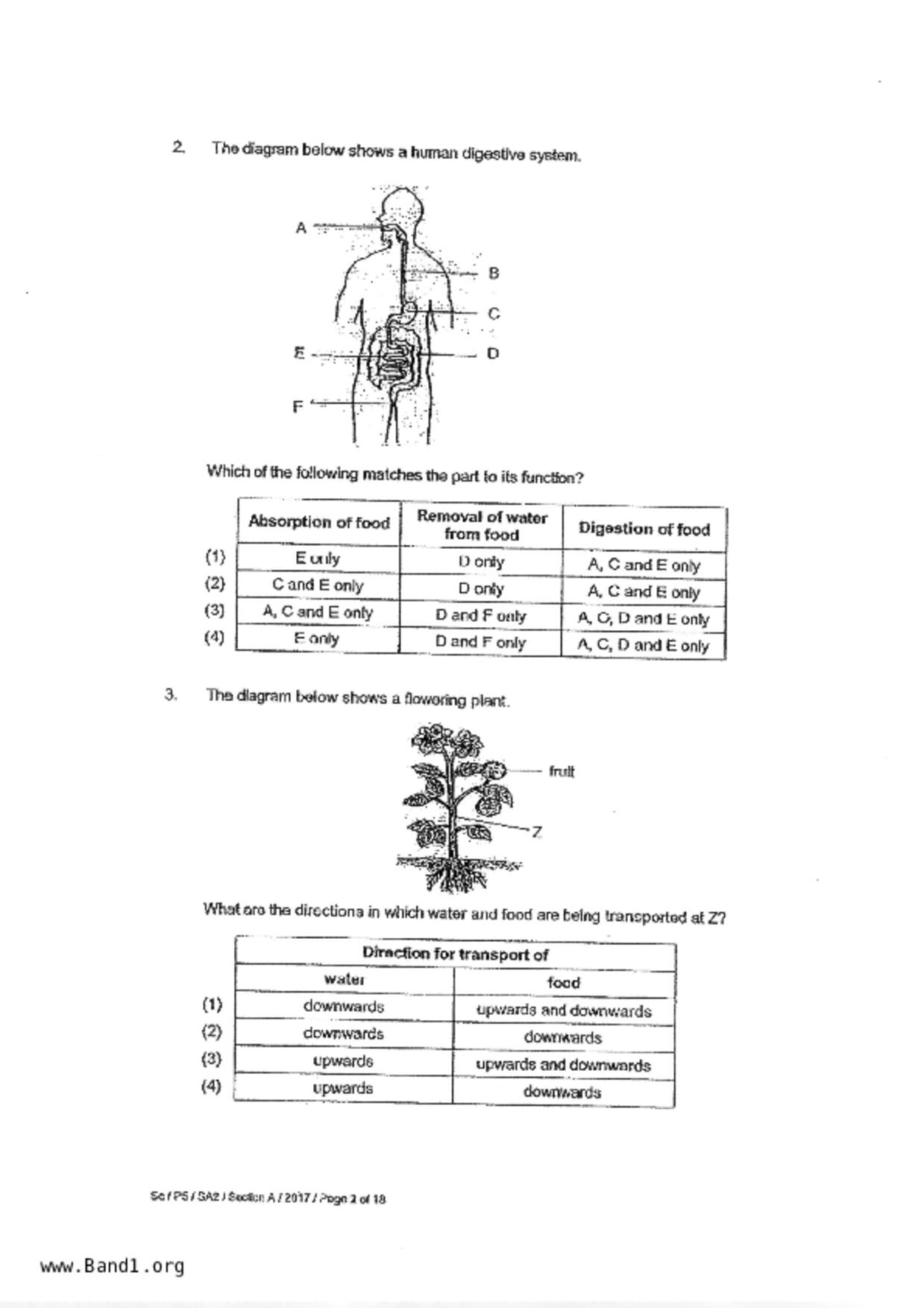 P5Science試卷