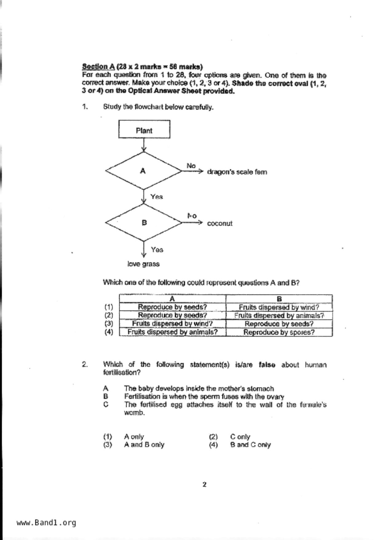 P5Science試卷