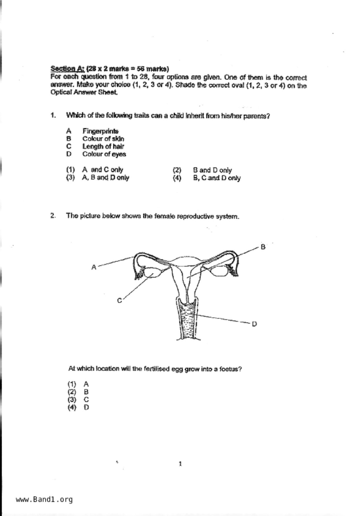 P5Science試卷
