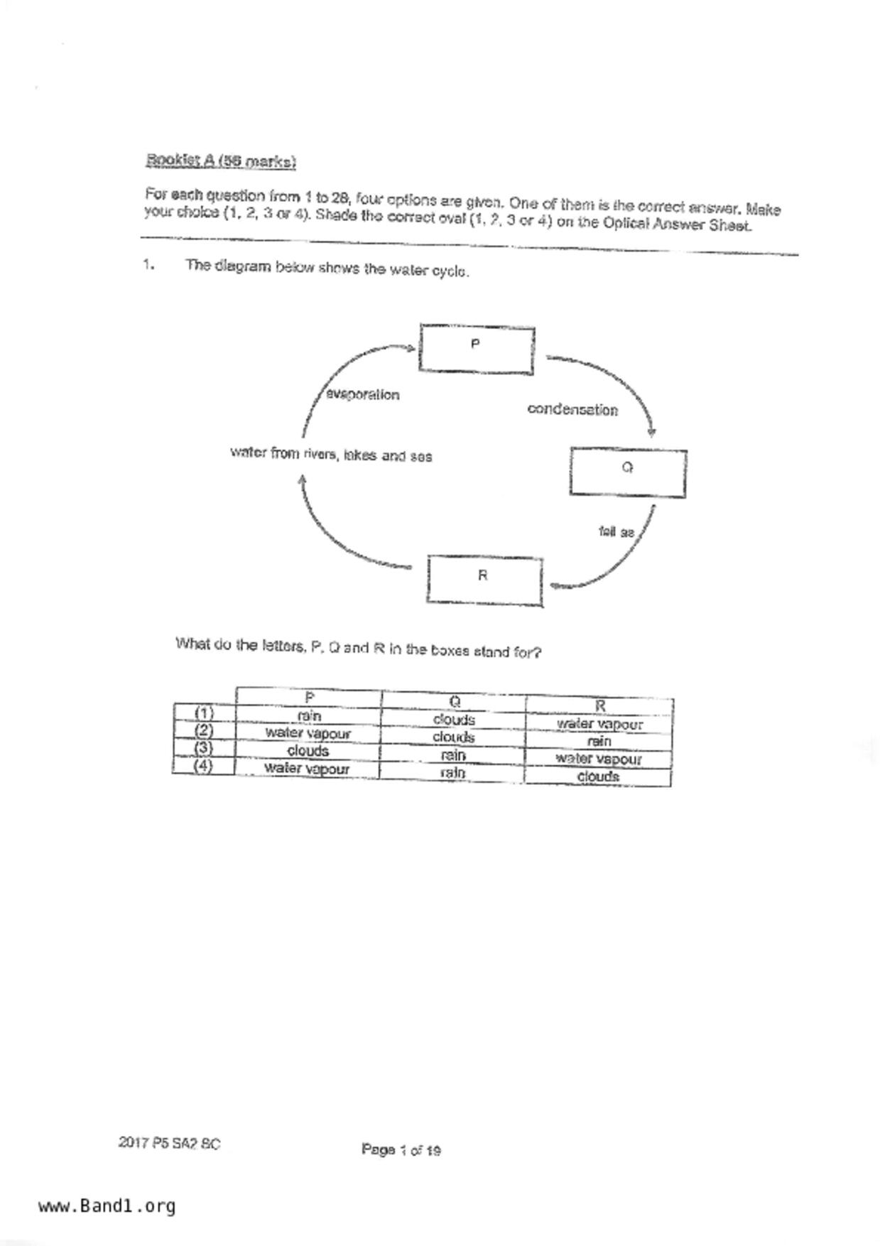 P5Science試卷