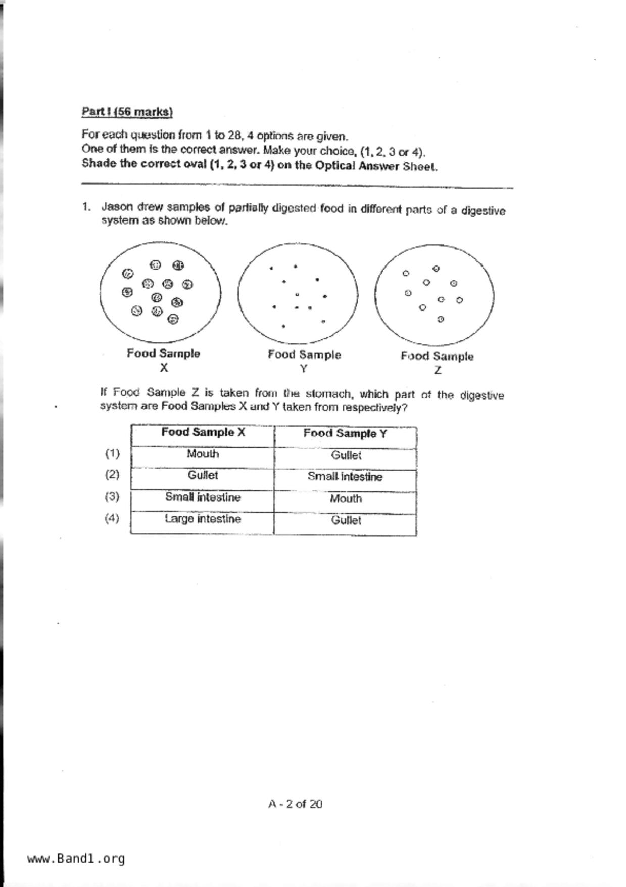 P5Science試卷