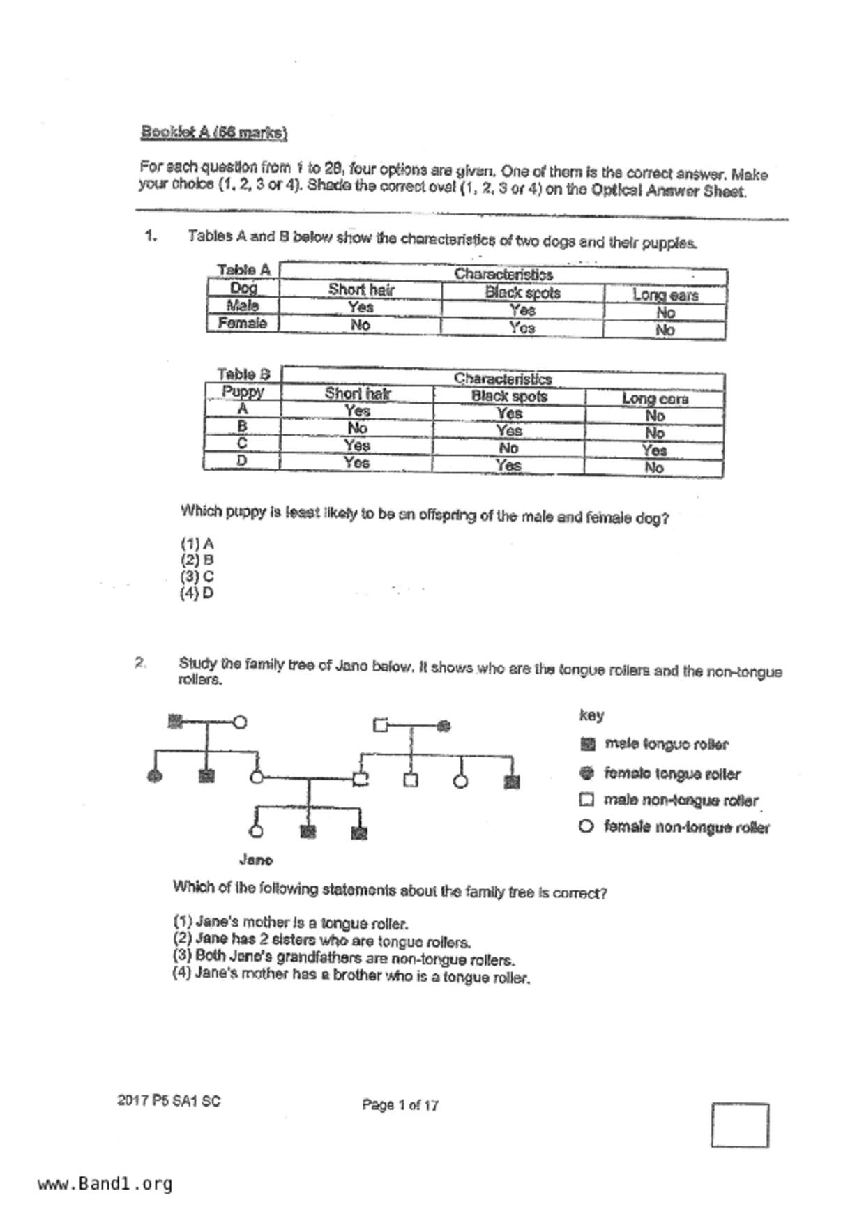 P5Science試卷