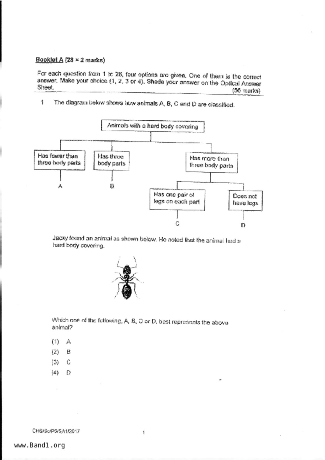 P5Science試卷