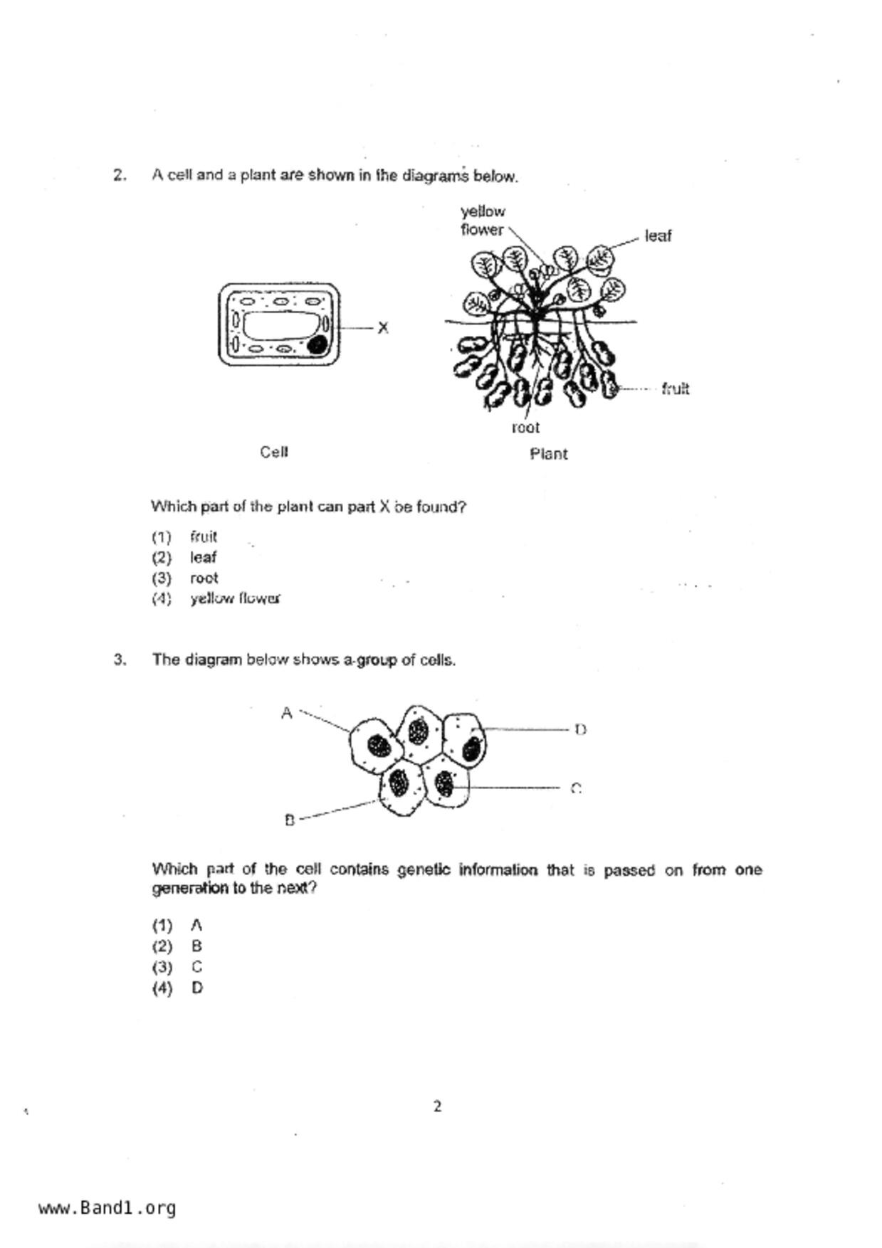 P5Science試卷