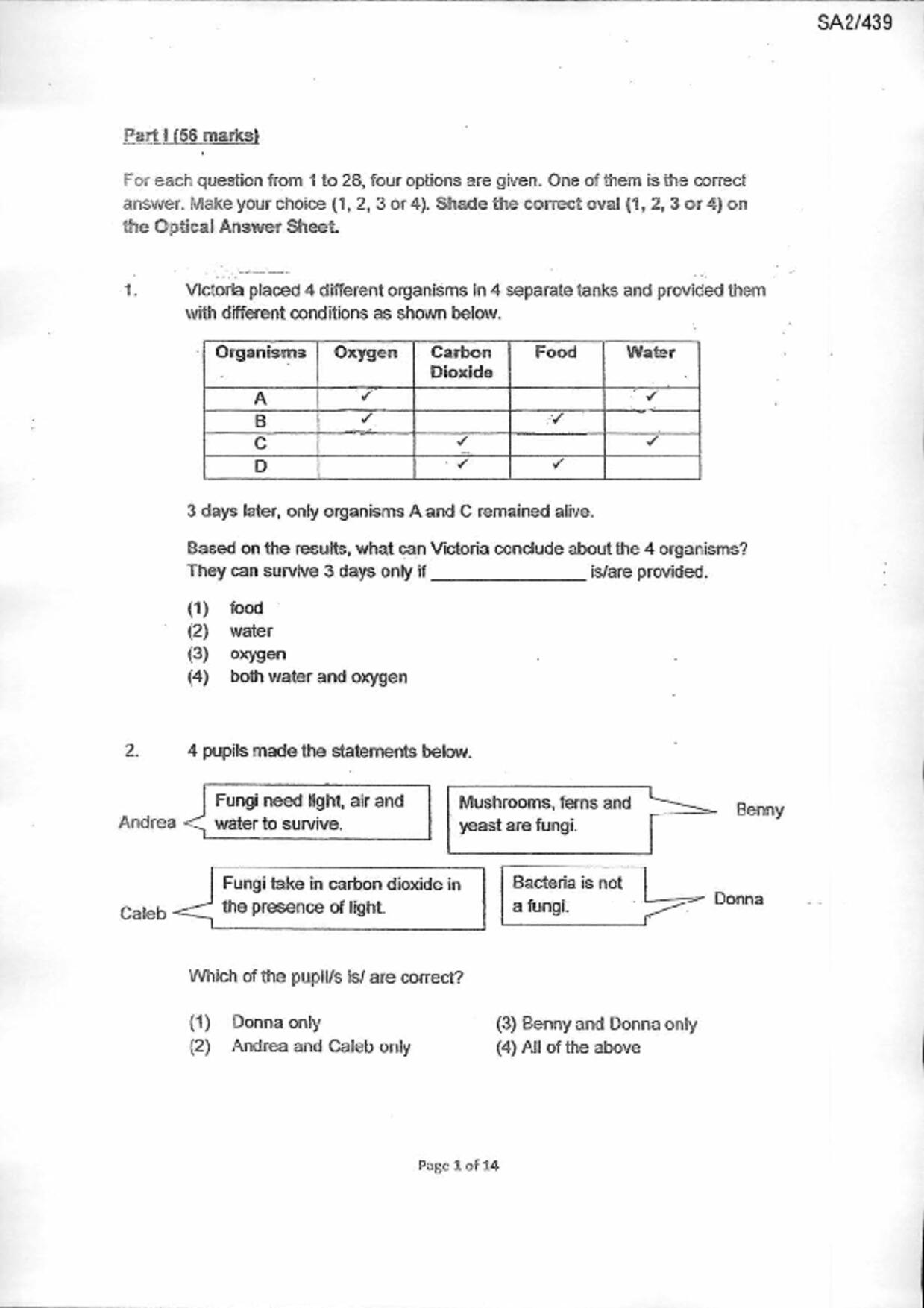P6Science試卷