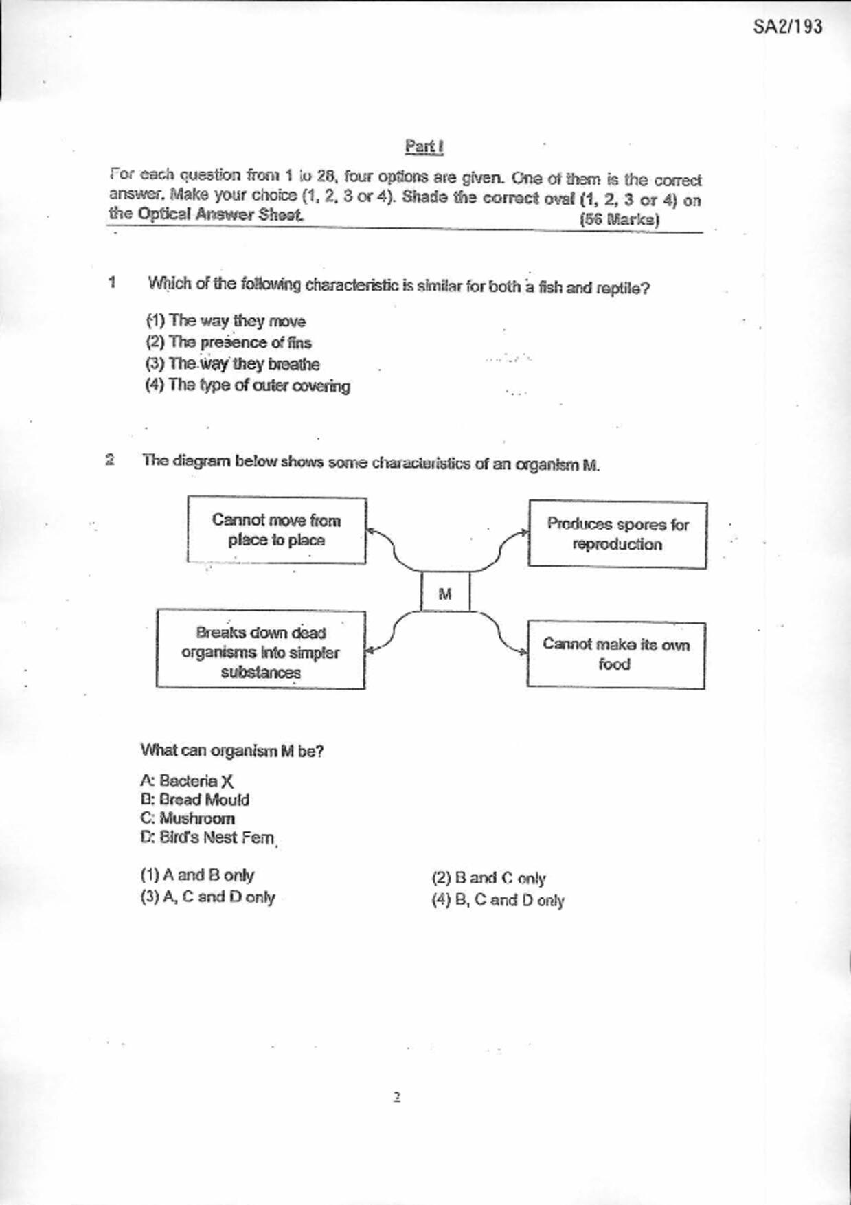 P6Science試卷