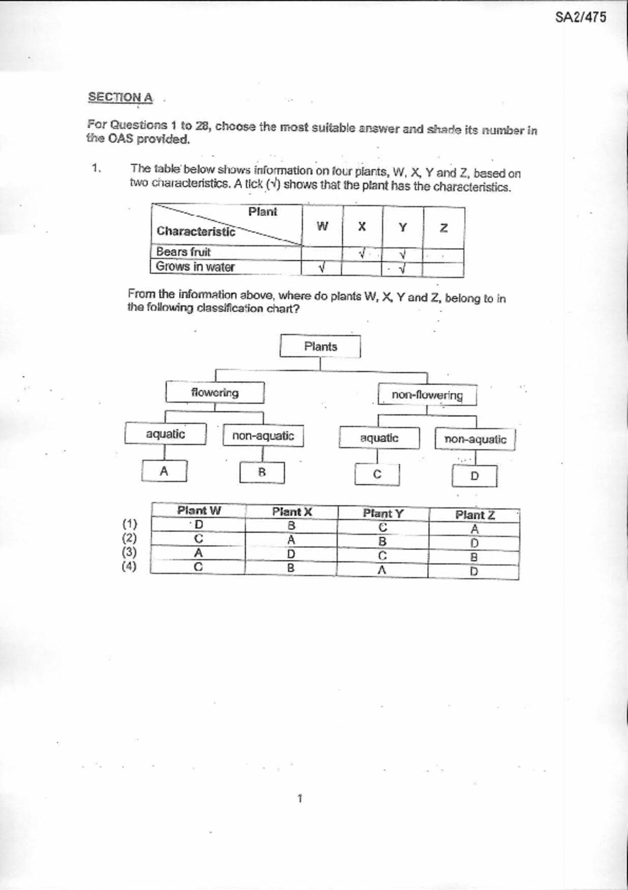 P6Science試卷