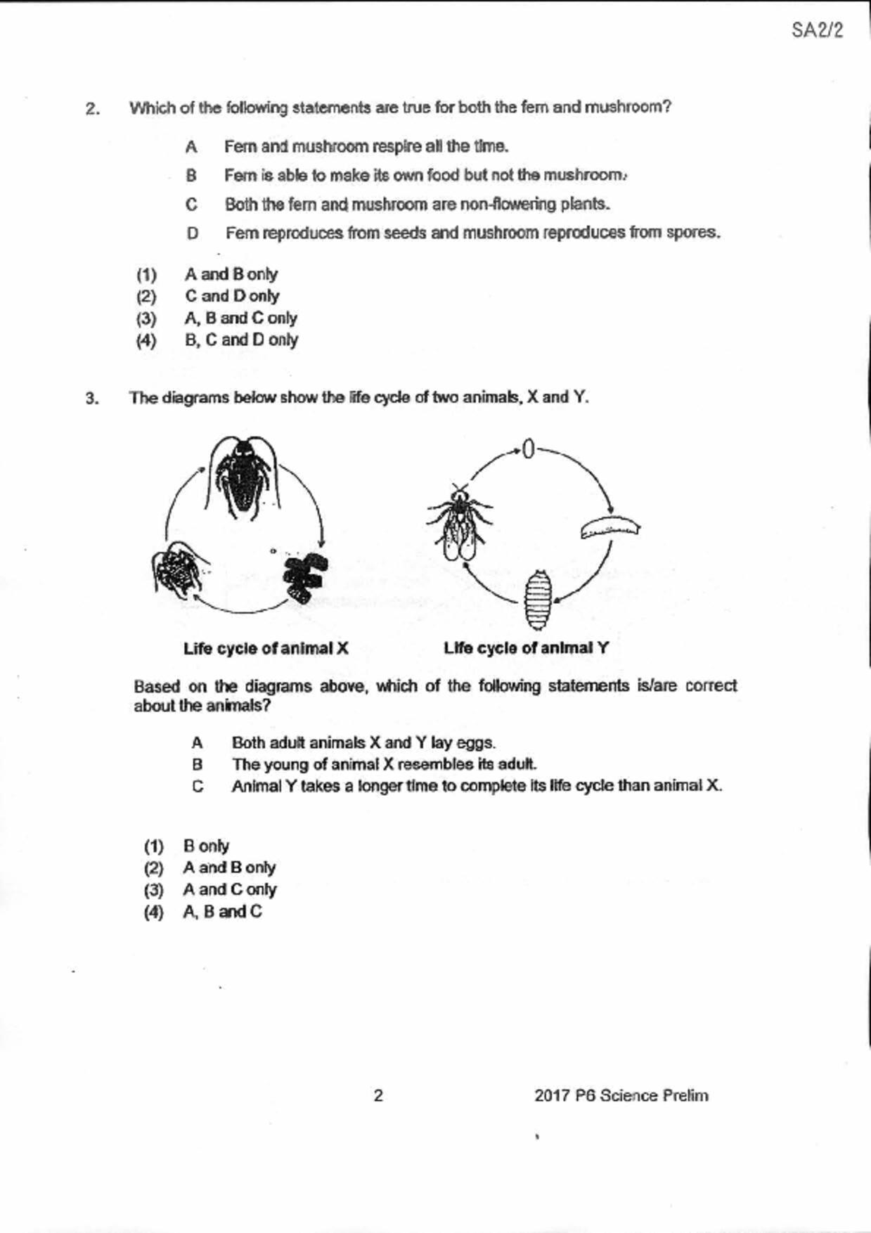 P6Science試卷