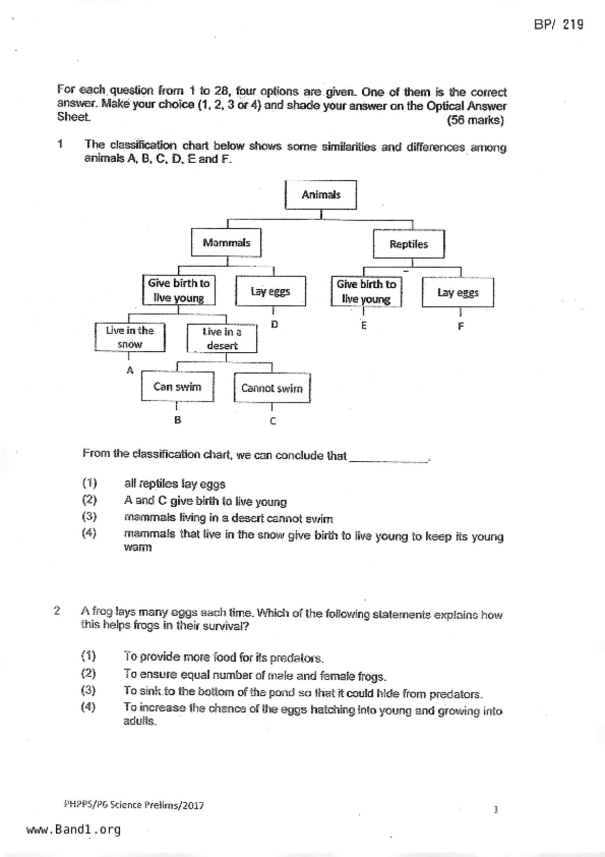 P6Science試卷