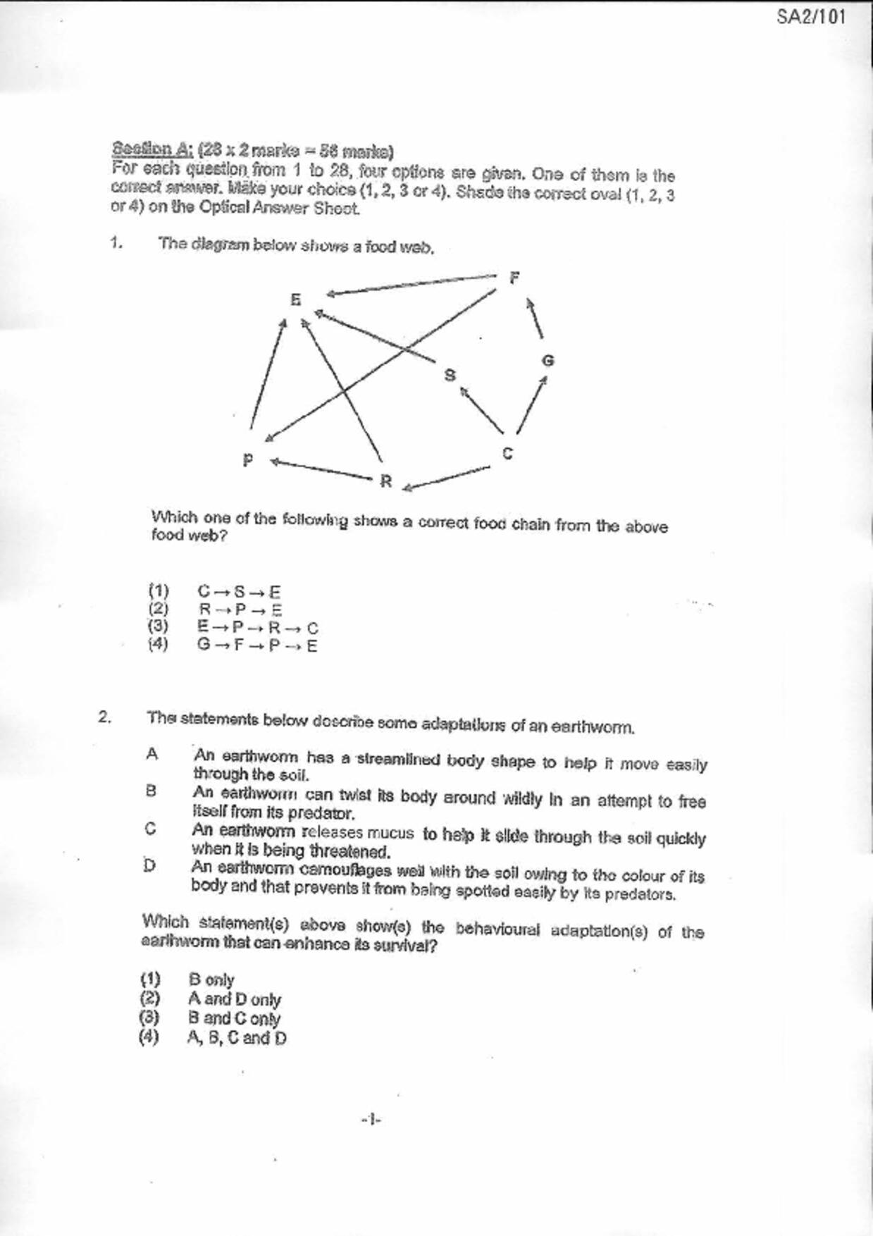 P6Science試卷