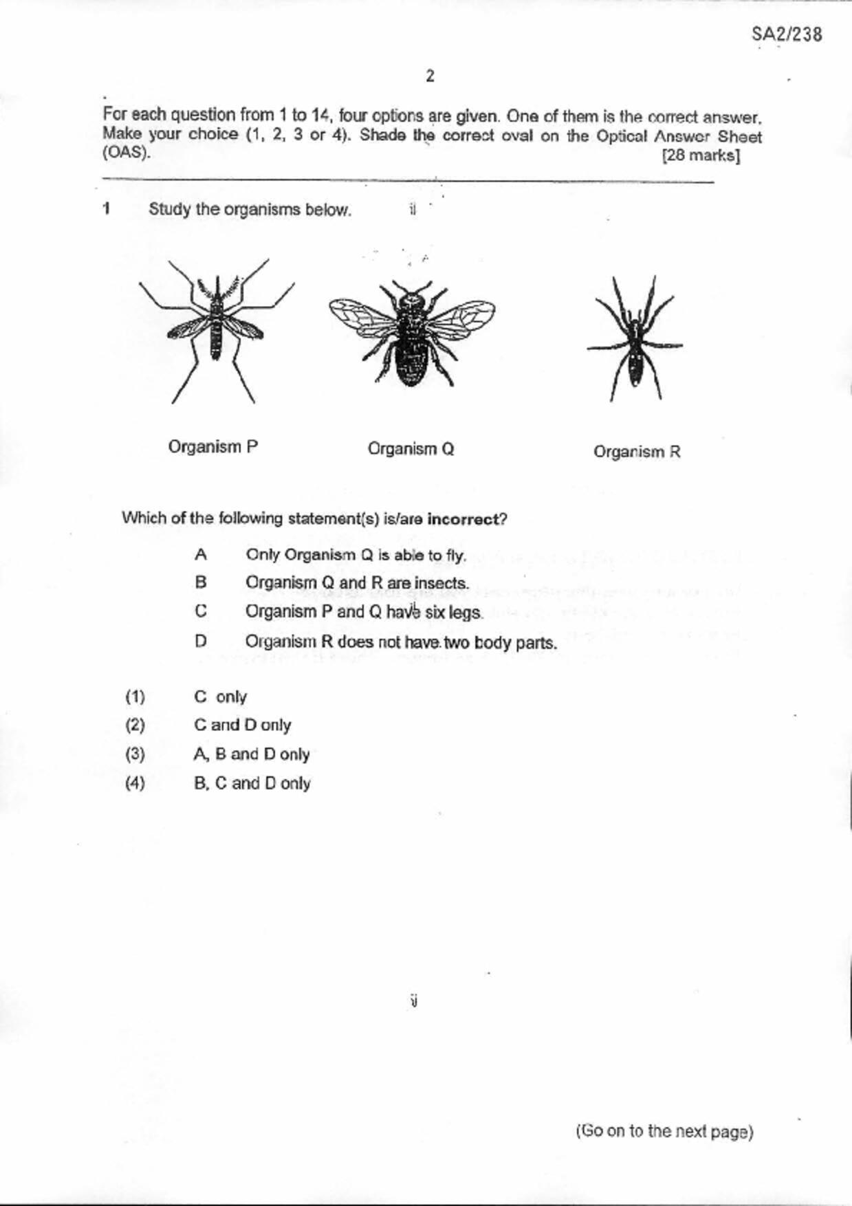 P6Science試卷