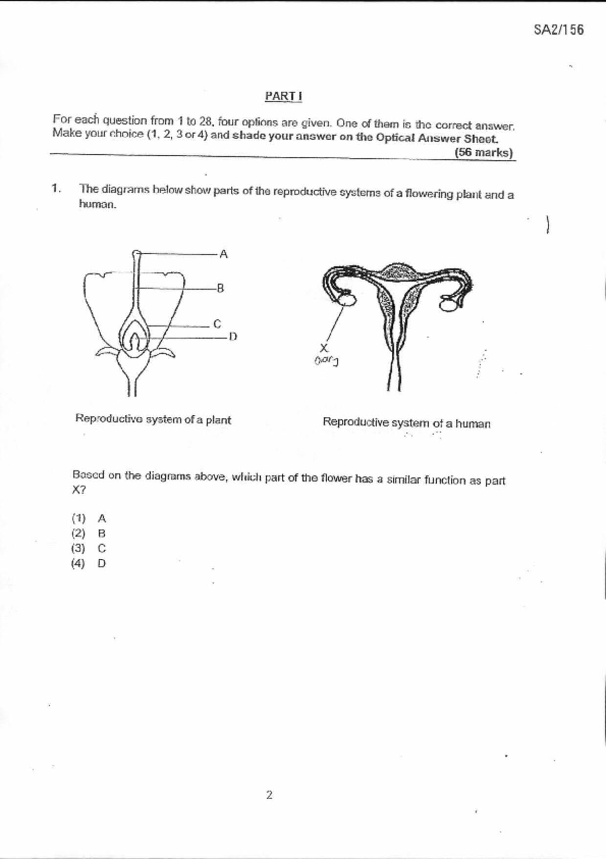 P6Science試卷