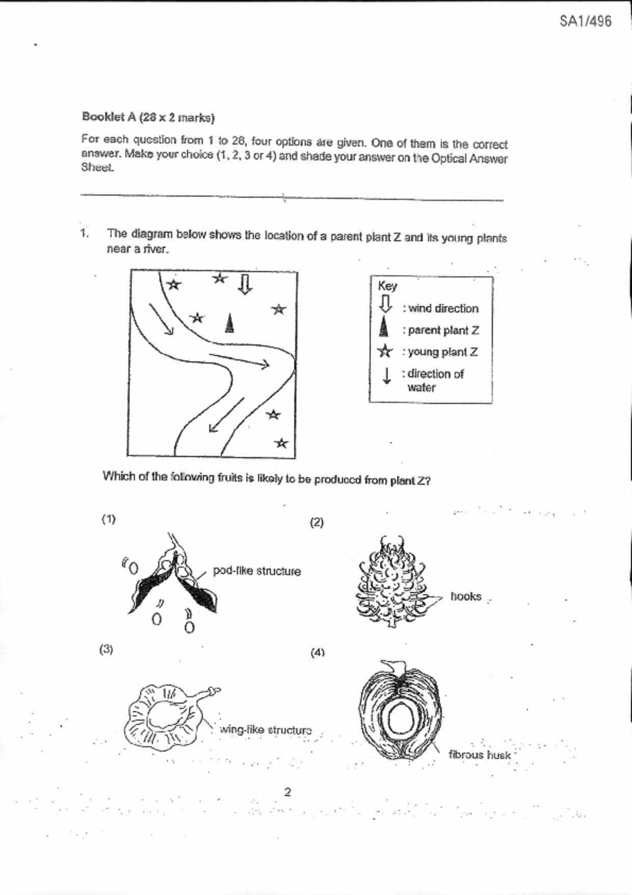 P6Science試卷
