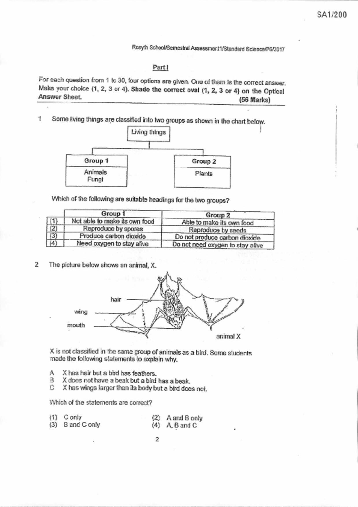P6Science試卷