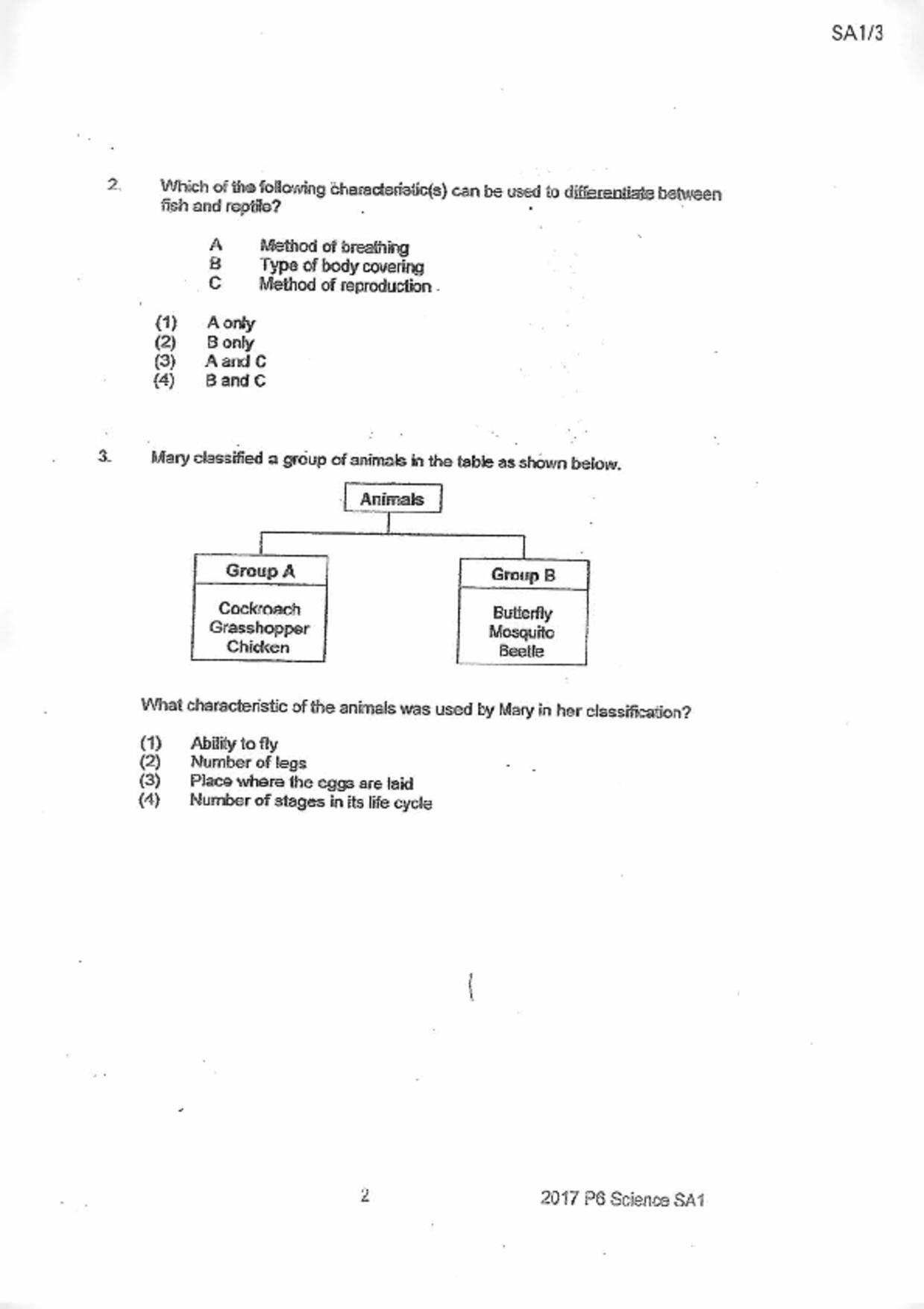 P6Science試卷