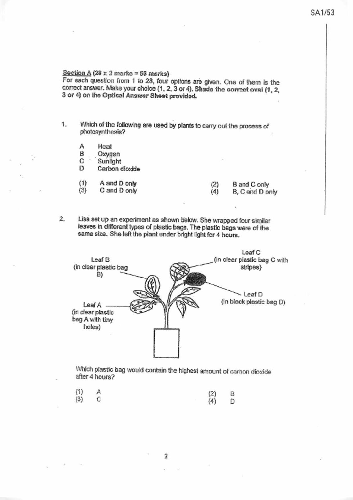P6Science試卷