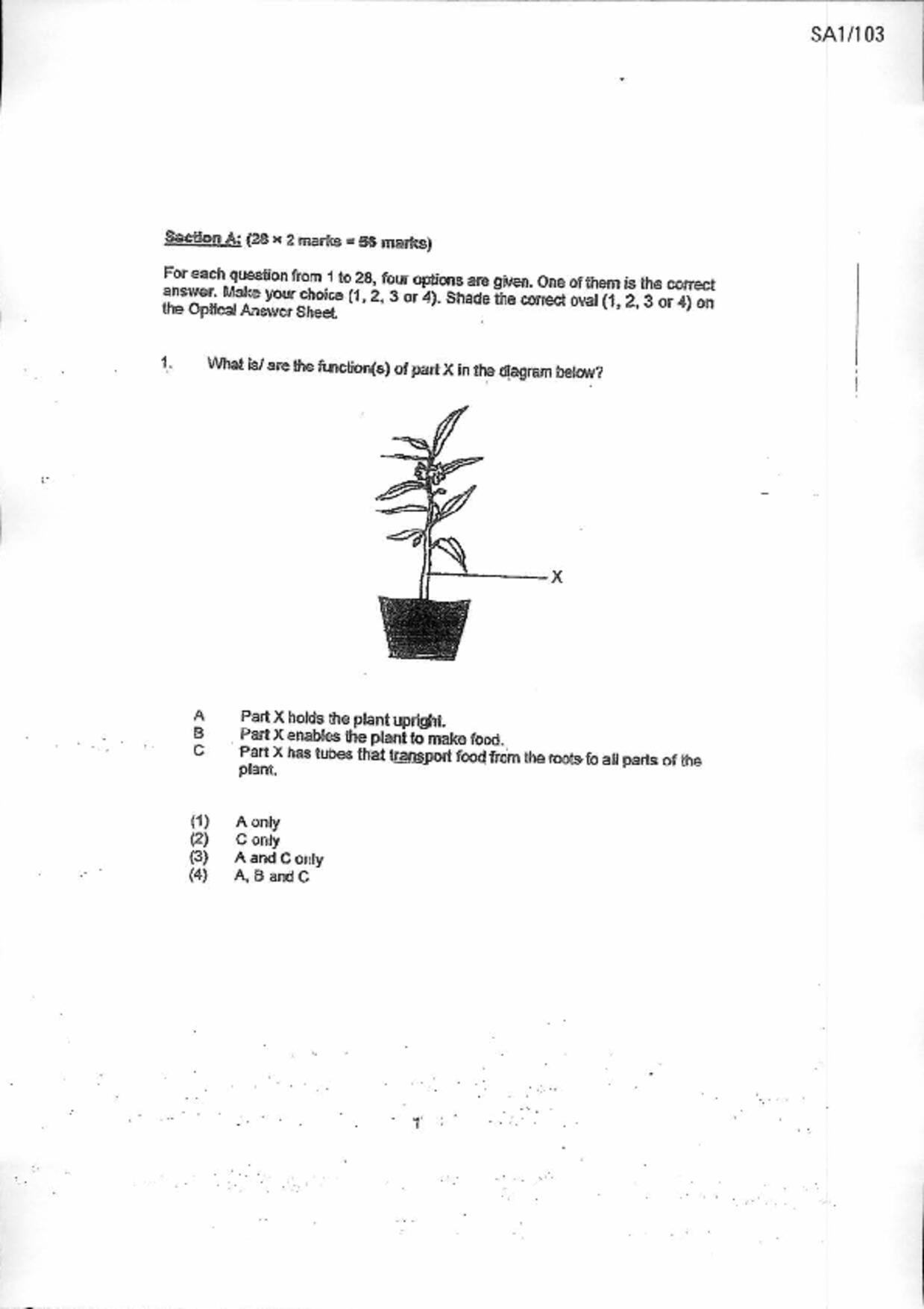P6Science試卷
