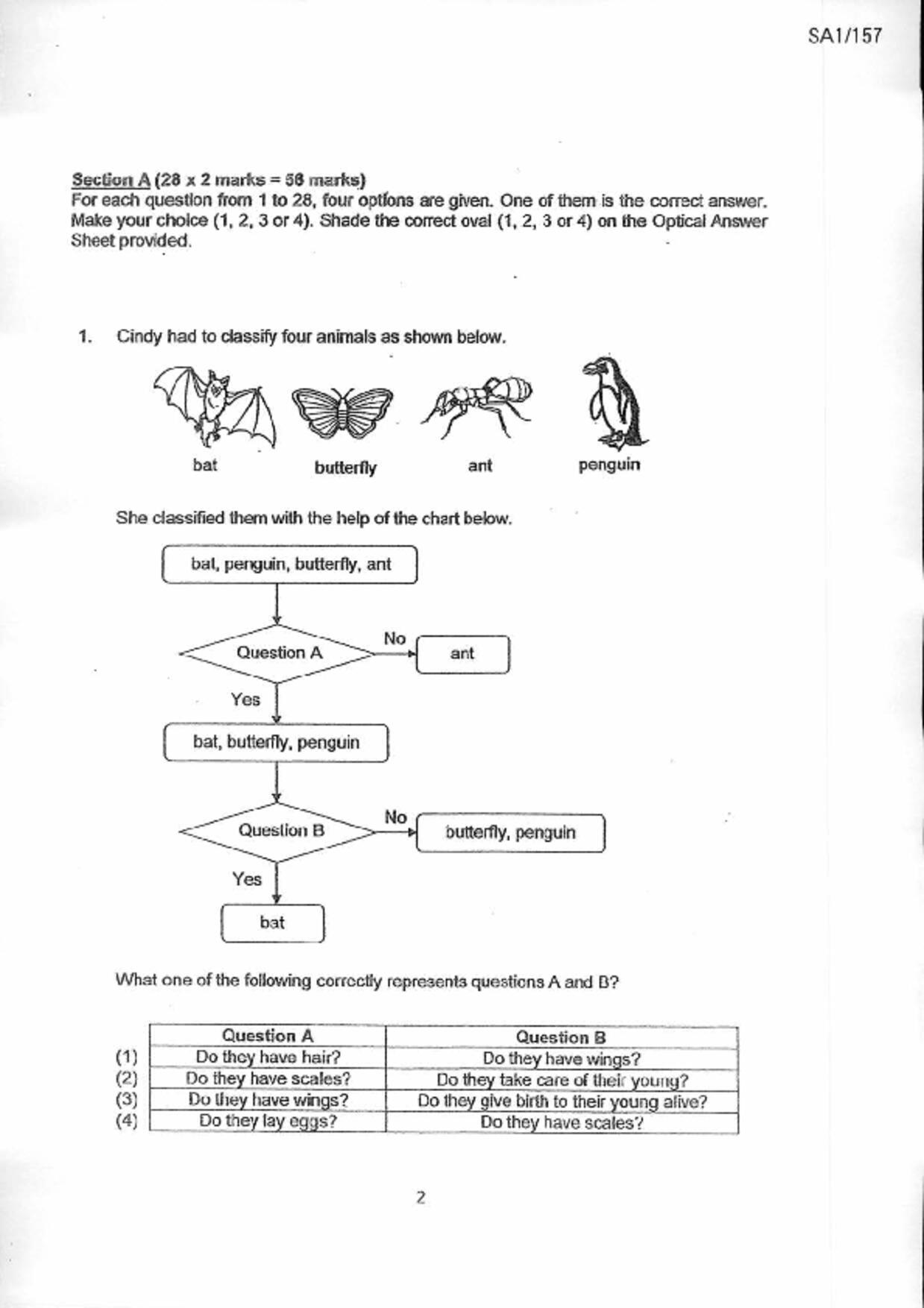 P6Science試卷