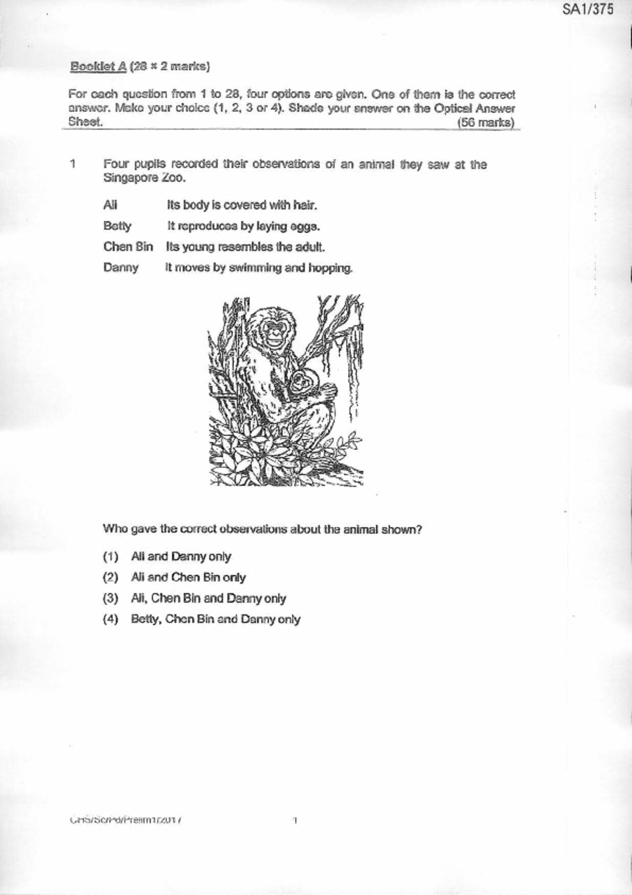 P6Science試卷