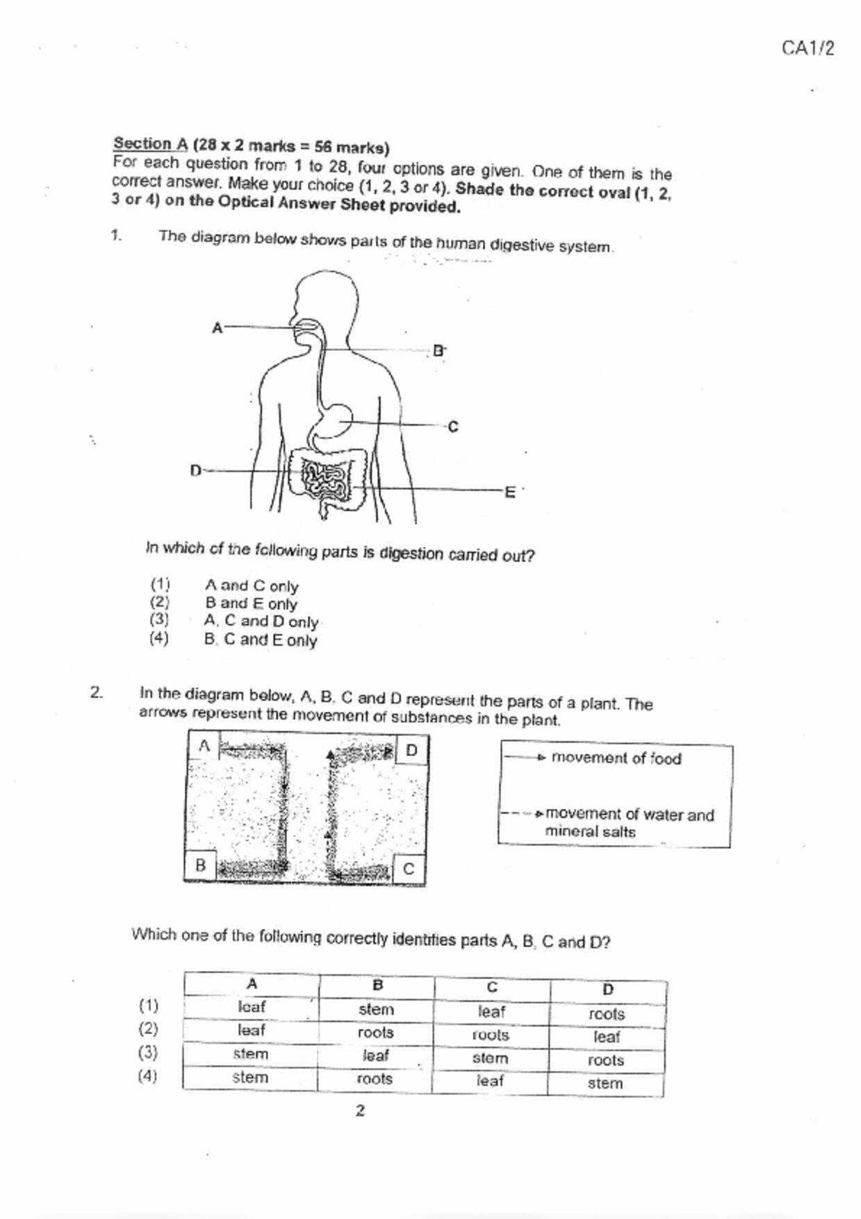 P6Science試卷