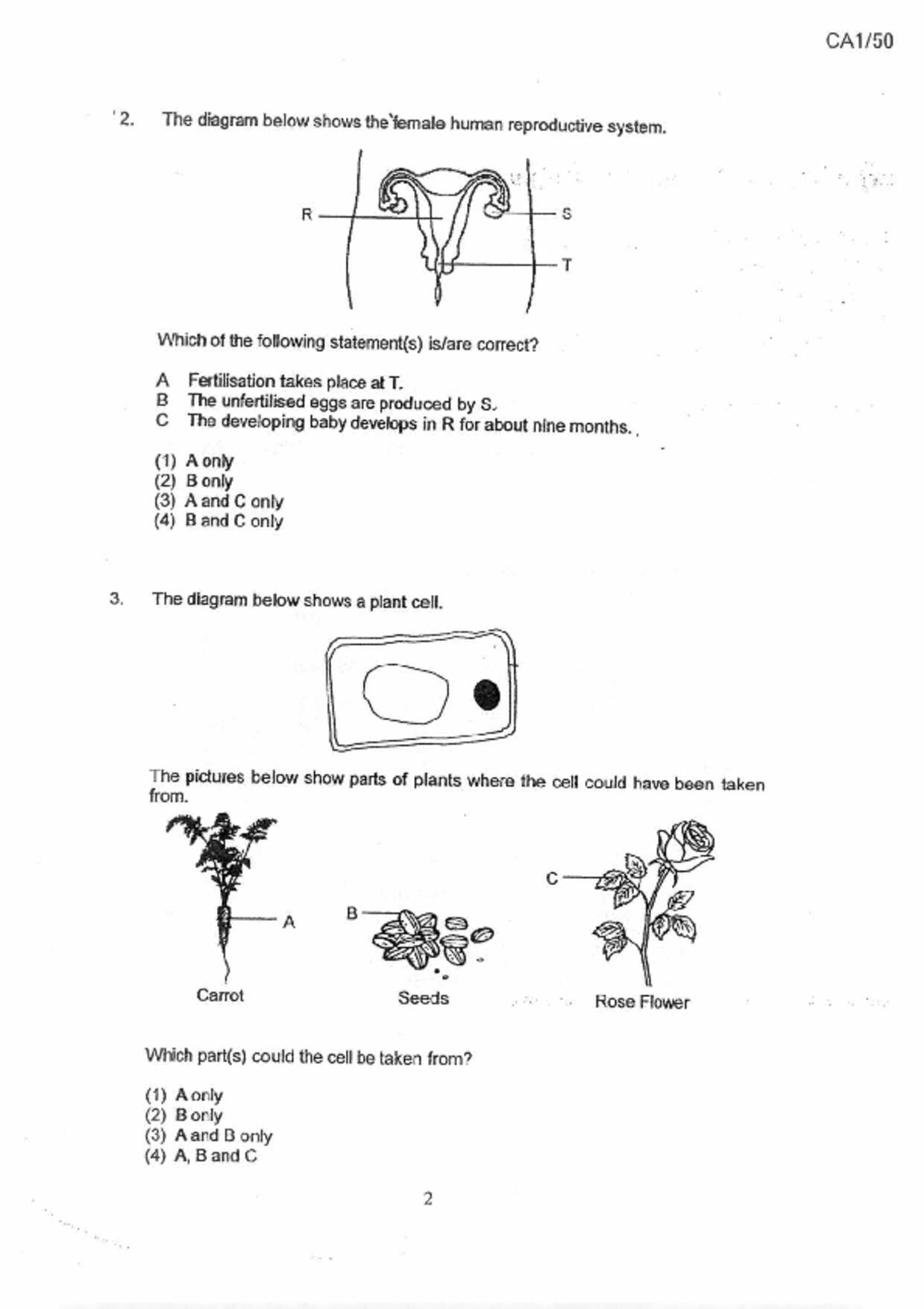 P6Science試卷