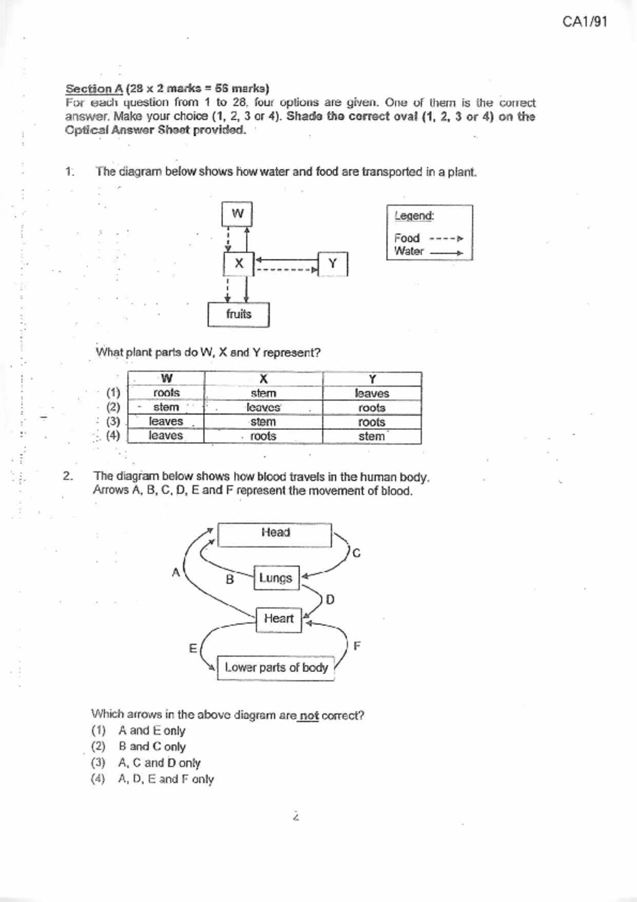 P6Science試卷