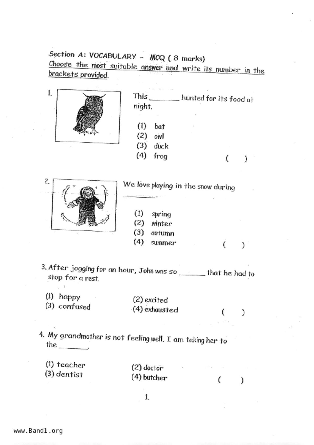 P2English試卷