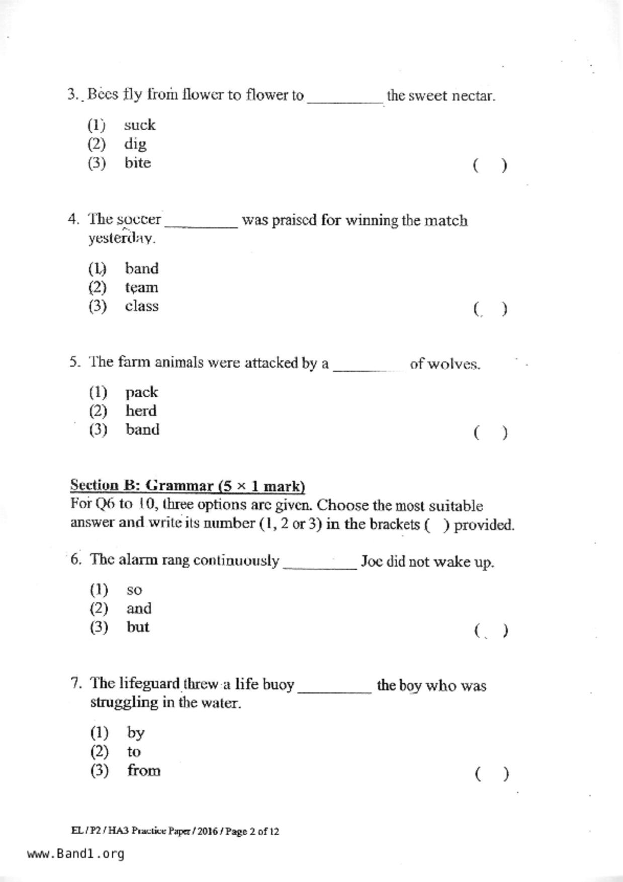 P2English試卷