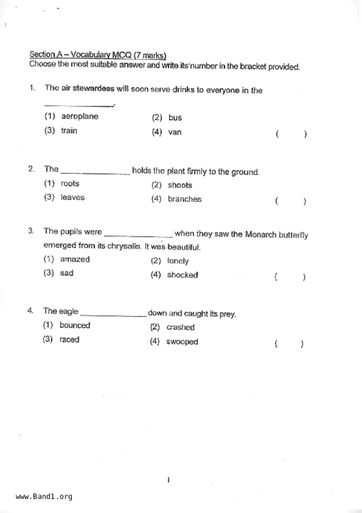 P2English試卷