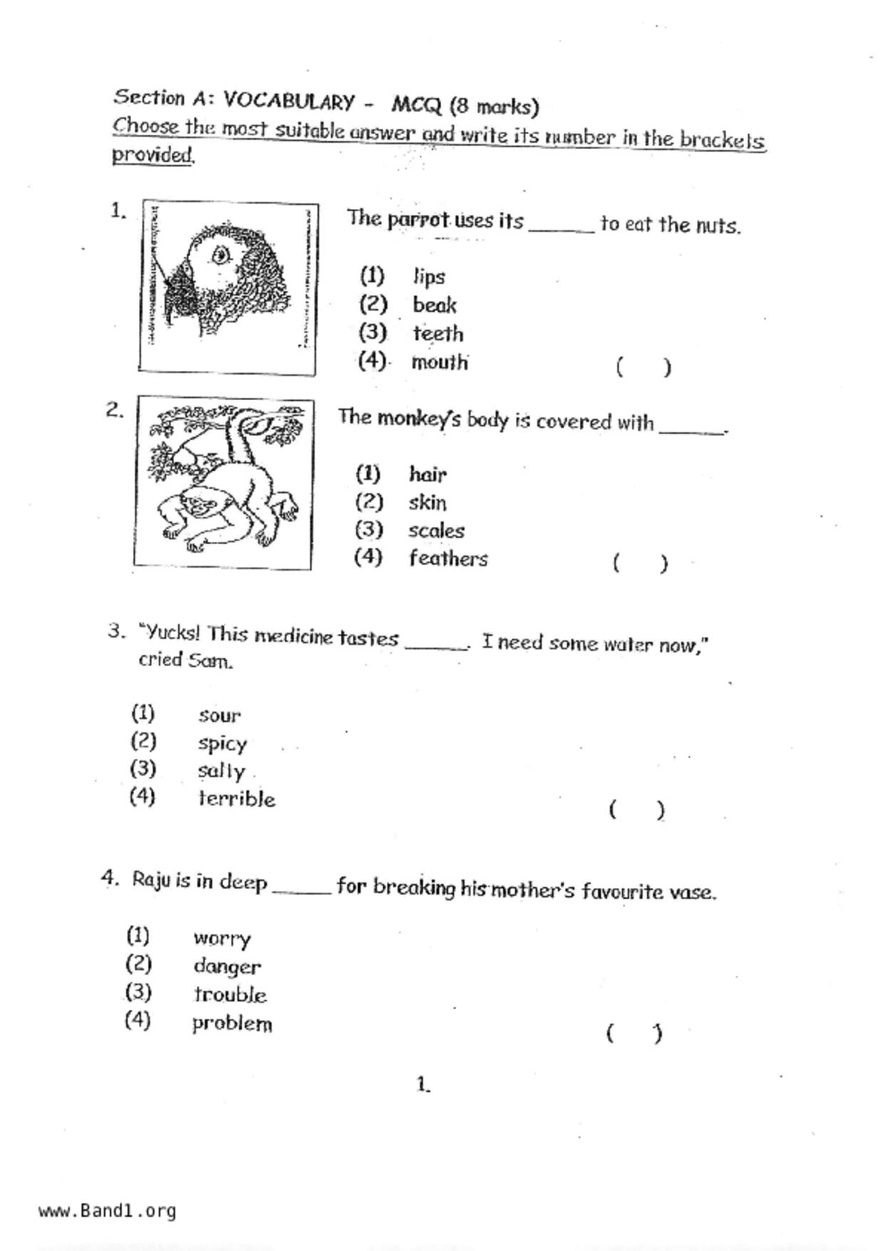 P2English試卷