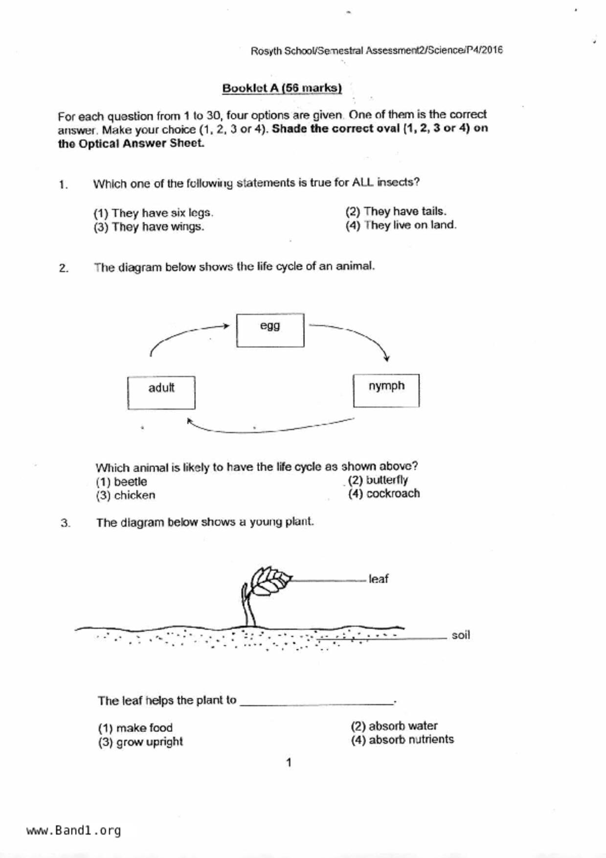 P4Science試卷