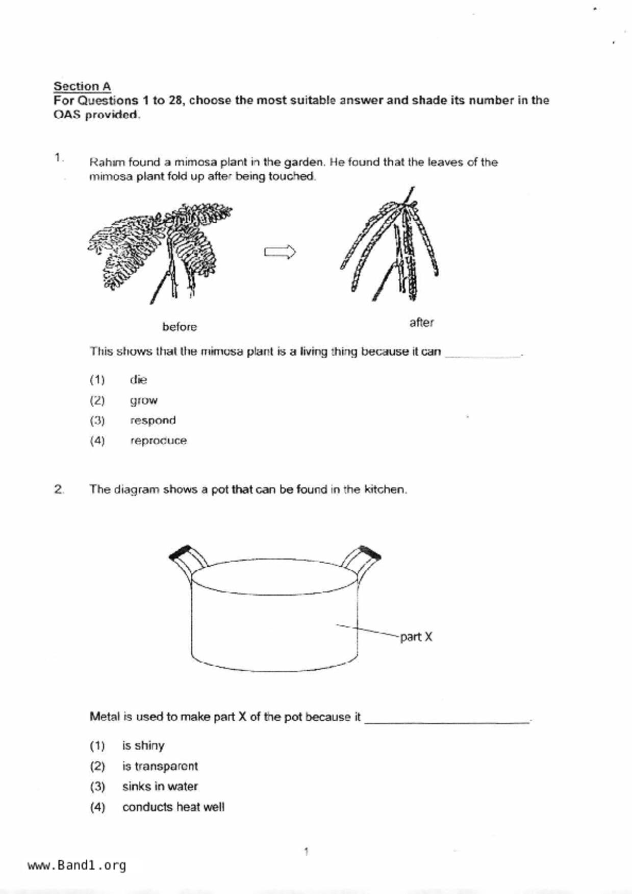 P4Science試卷