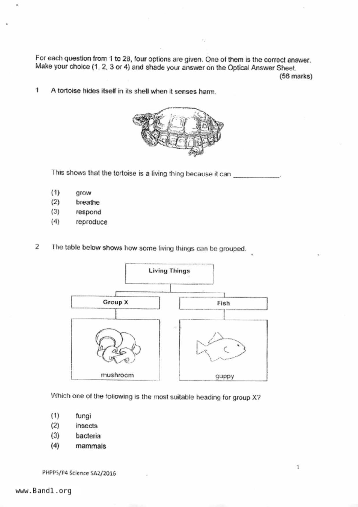 P4Science試卷