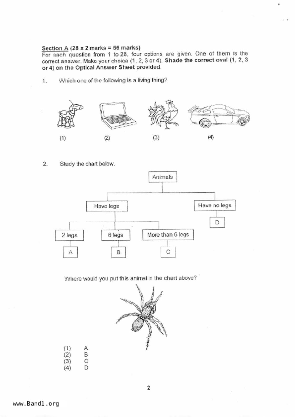 P4Science試卷