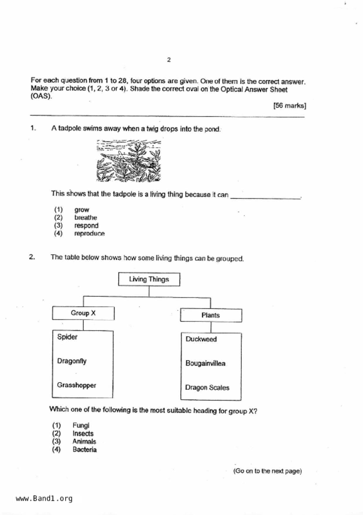 P4Science試卷