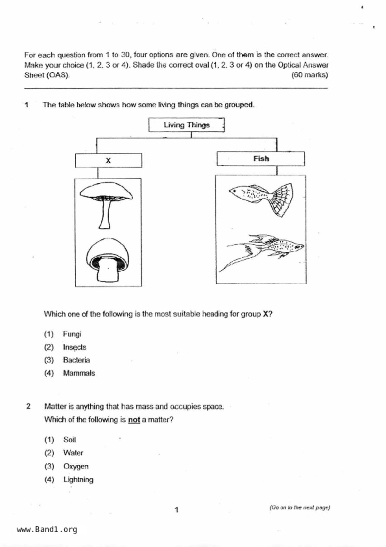 P4Science試卷