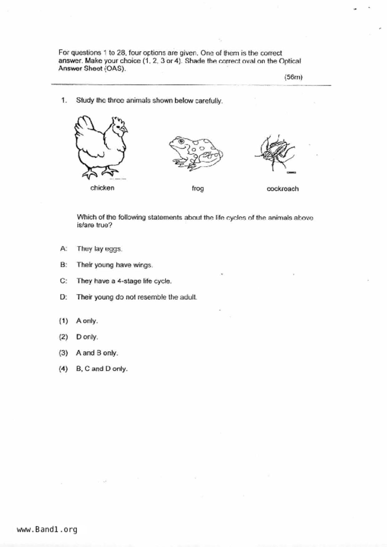 P4Science試卷