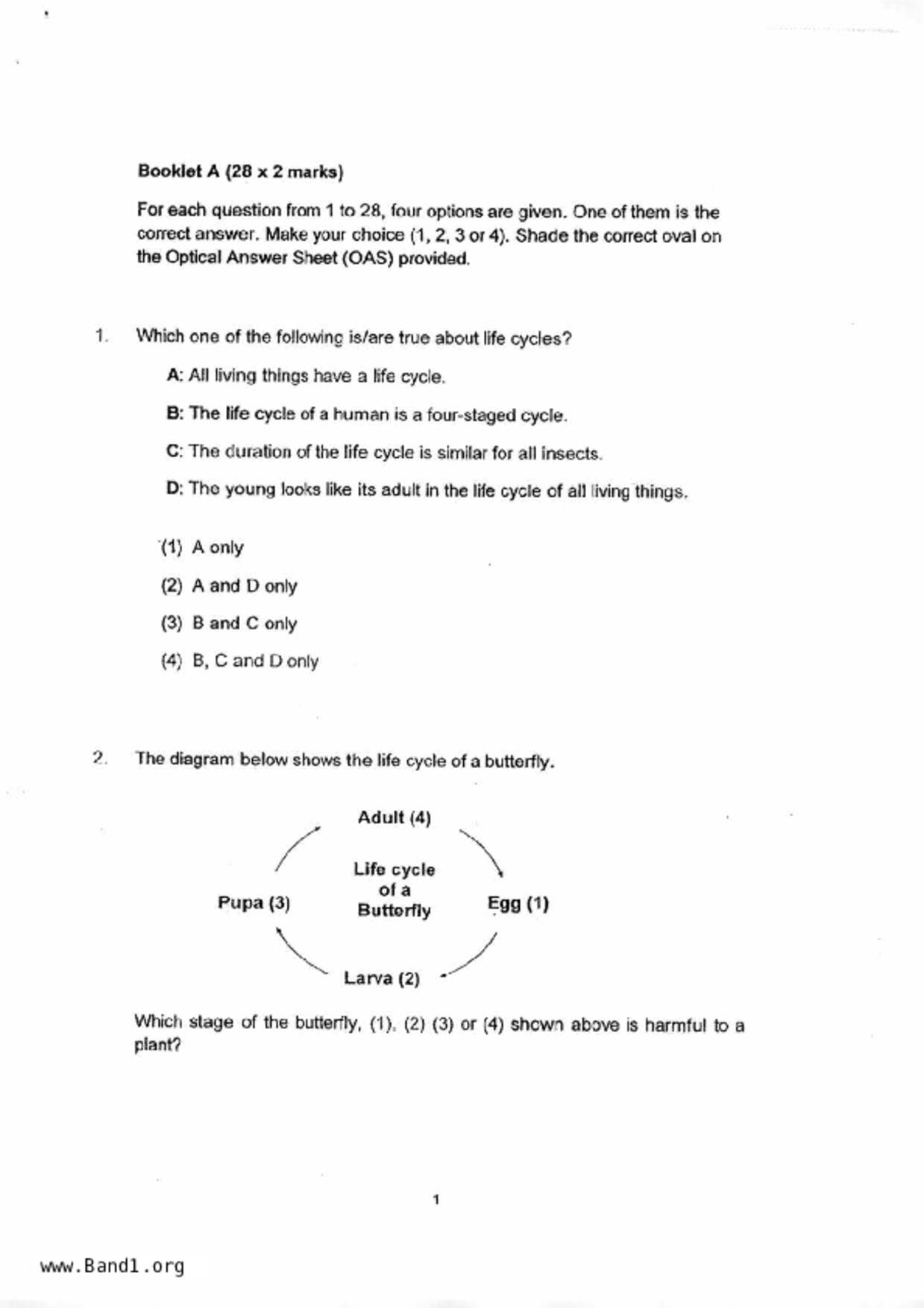 P4Science試卷