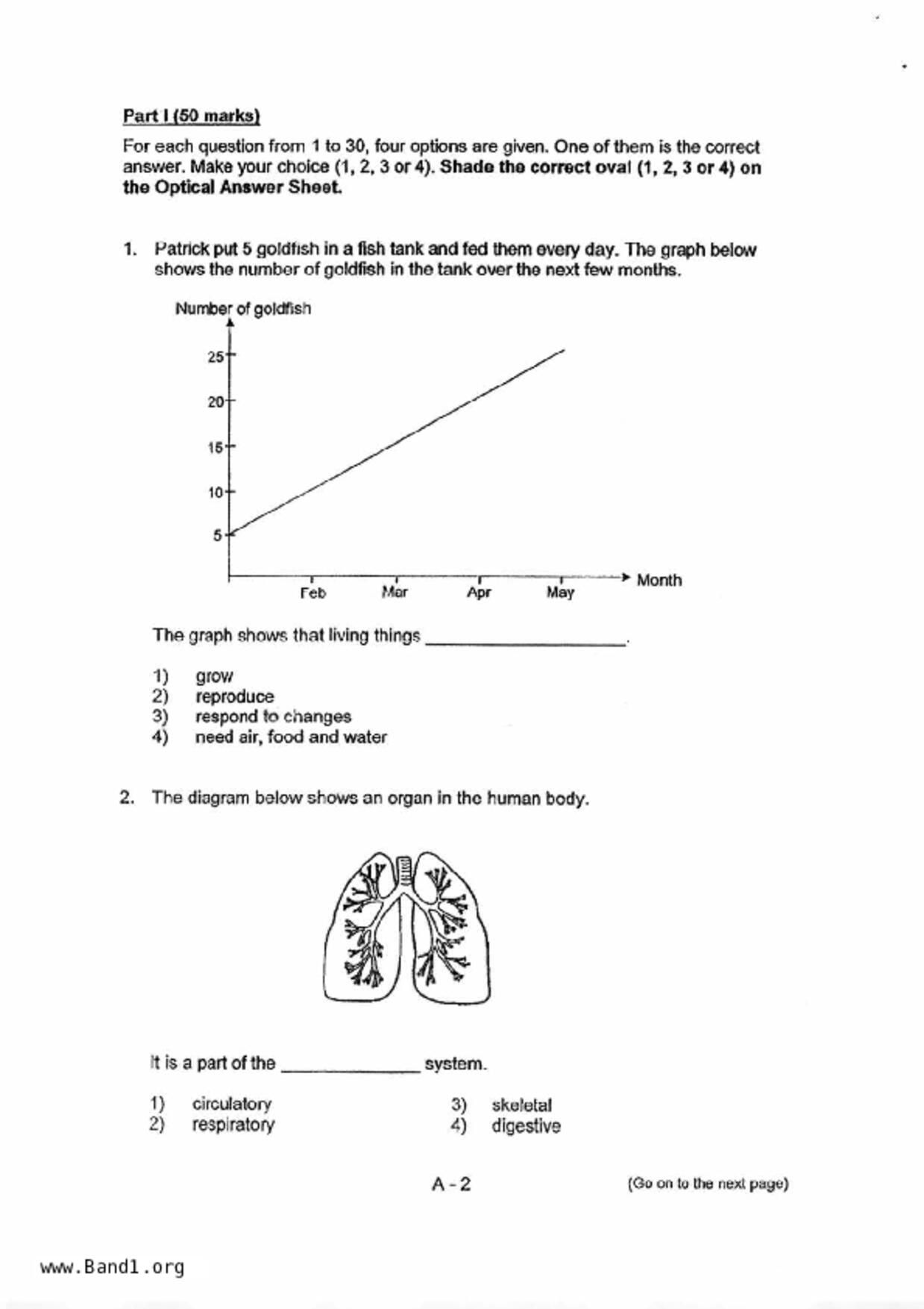 P4Science試卷