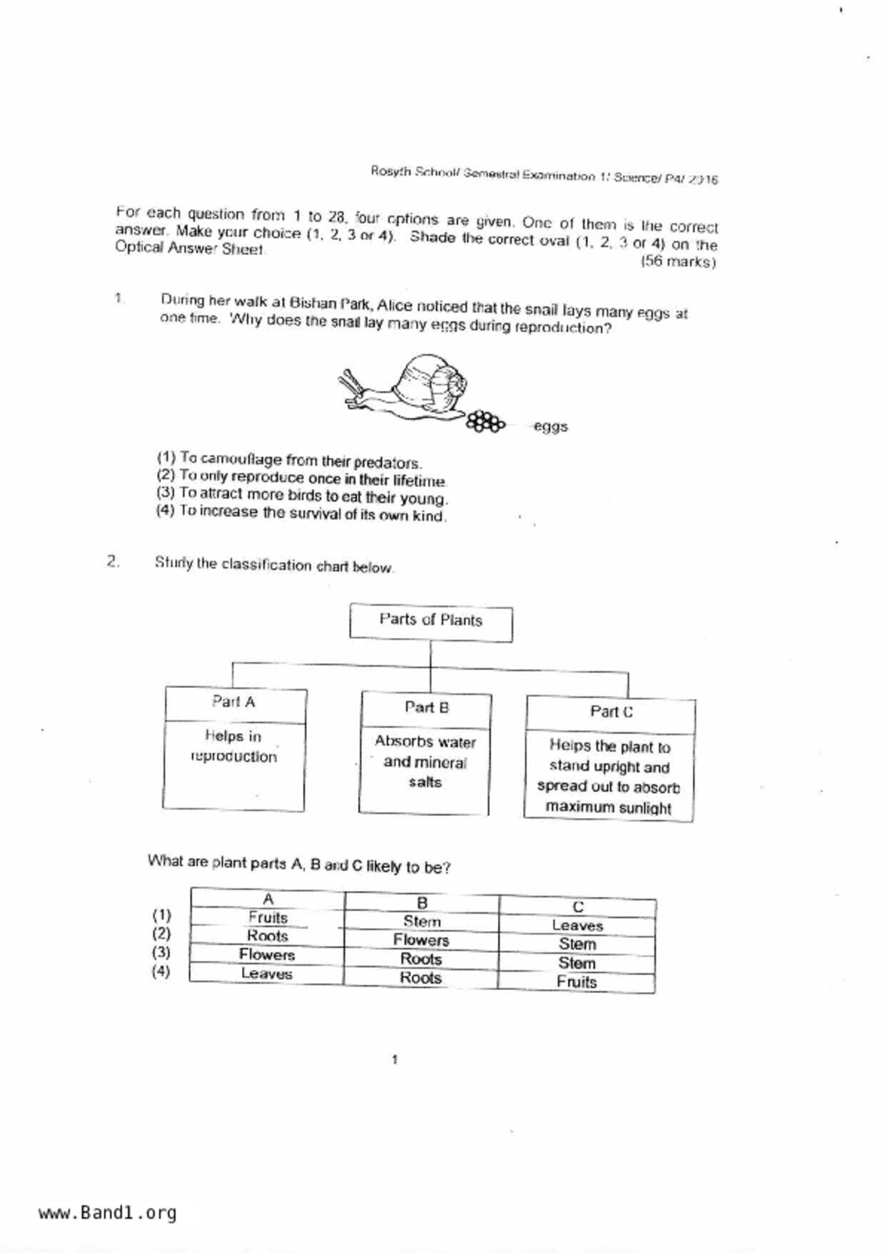 P4Science試卷