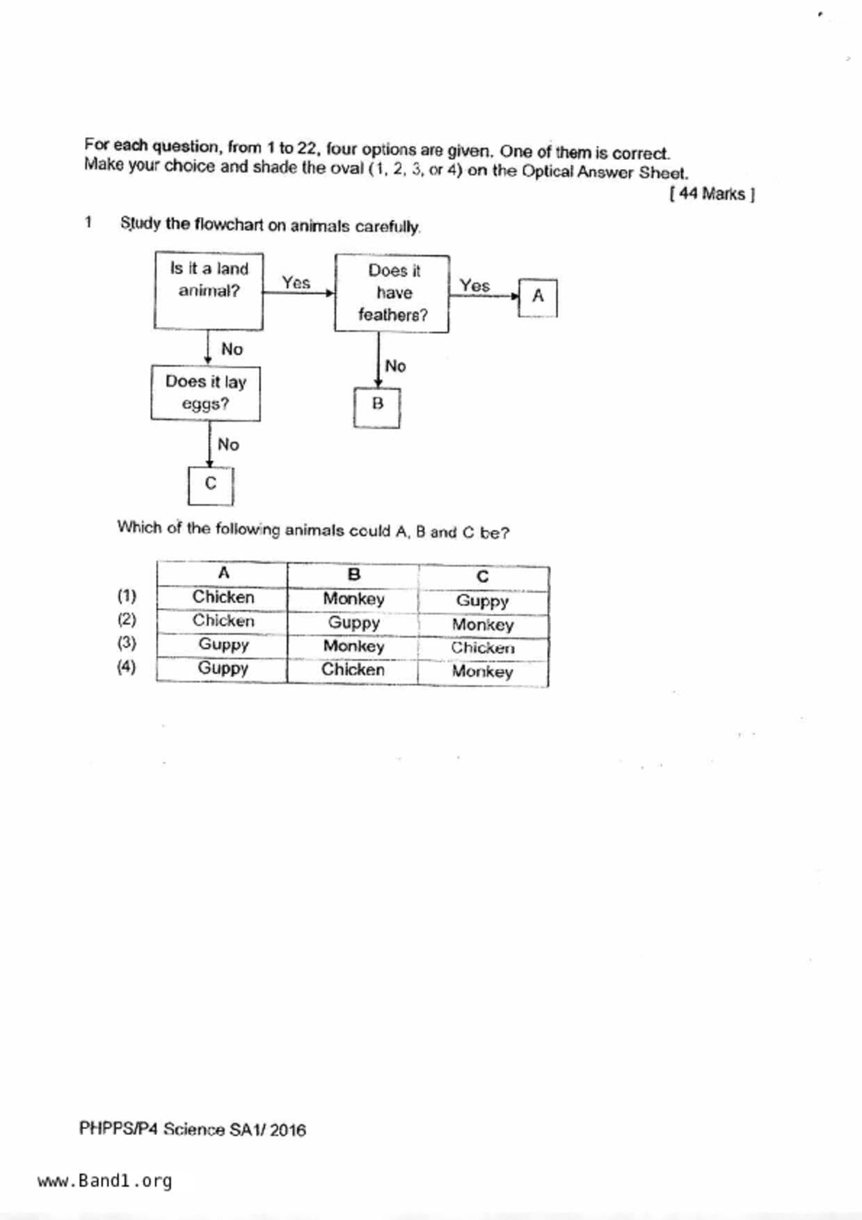 P4Science試卷